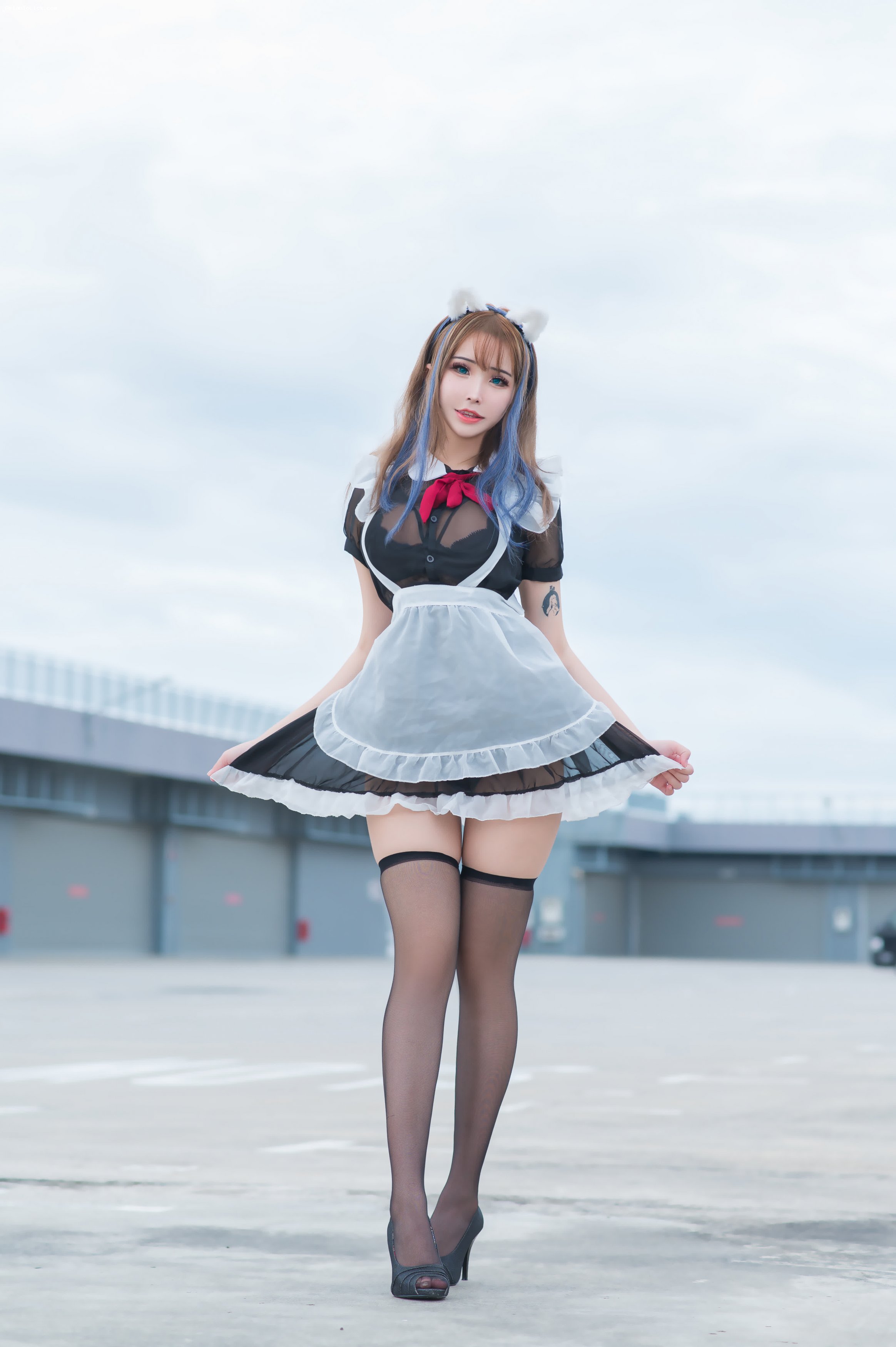 Plant Lily - Rooftop Maid