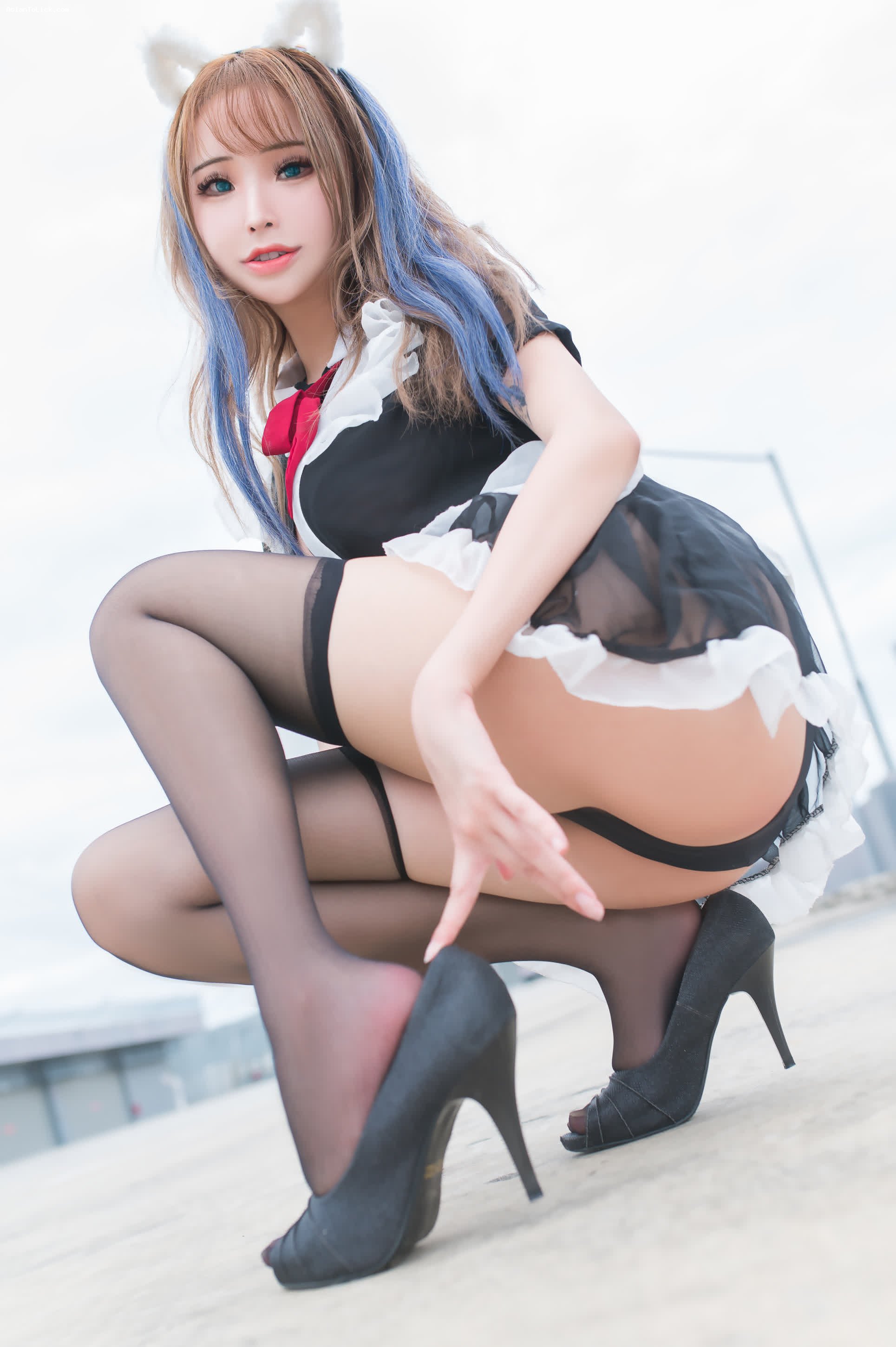 Plant Lily - Rooftop Maid