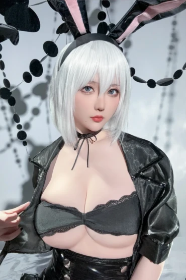 星之迟迟 - 25年3月计划C 尼尔:机械纪元 2B 兔女郎 2 星之迟迟 - 25年3月计划C 尼尔:机械纪元 2B 兔女郎