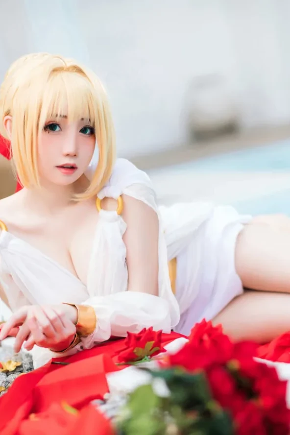 Braised Carbon - FGO Nero Gown 1 Braised Carbon - FGO Nero Gown