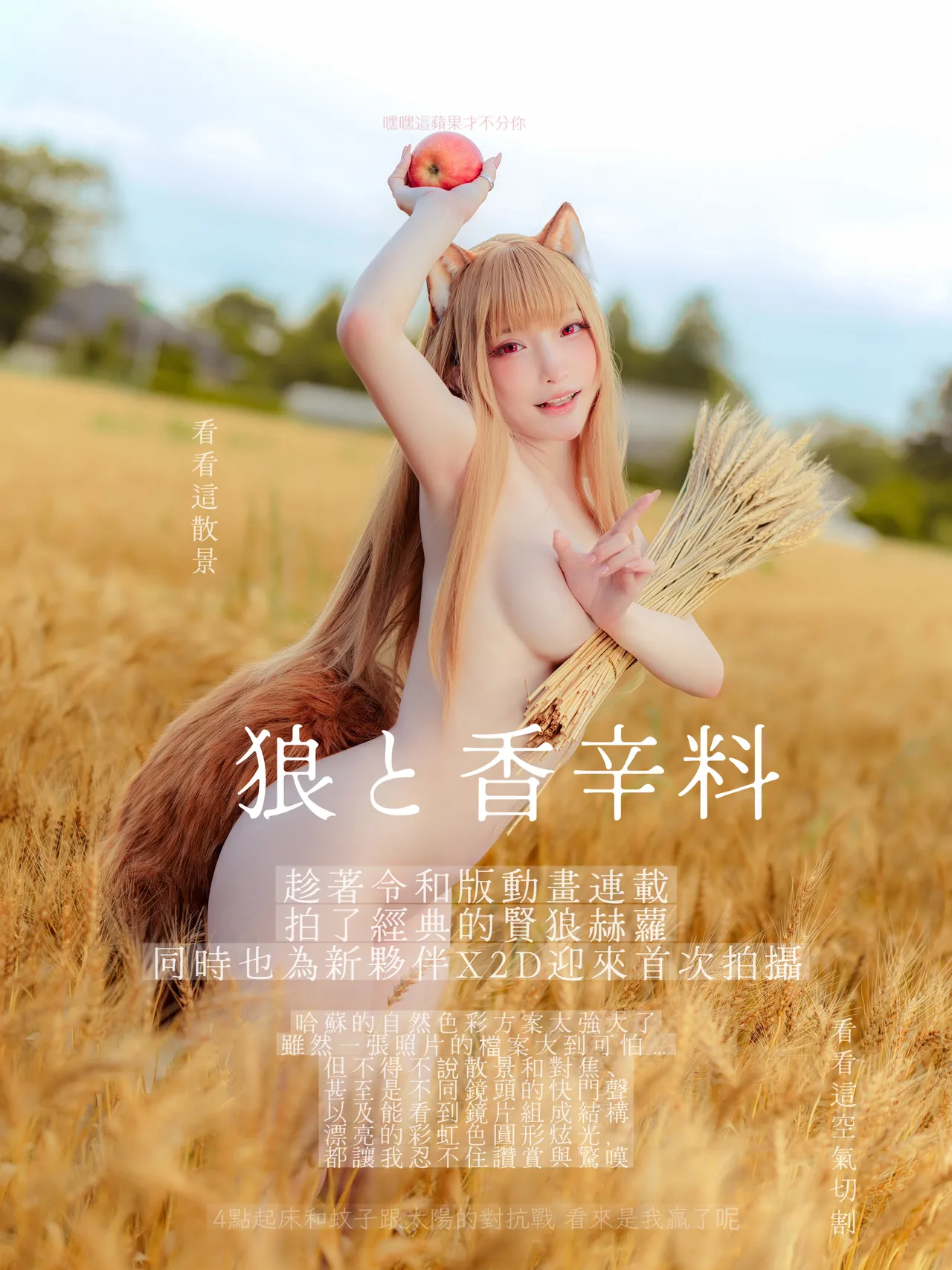 Fantasy Factory - 小丁 (Xiao Ding) Holo - Spice And Wolf Fantasy Factory - 小丁 (Xiao Ding) Holo - Spice And Wolf