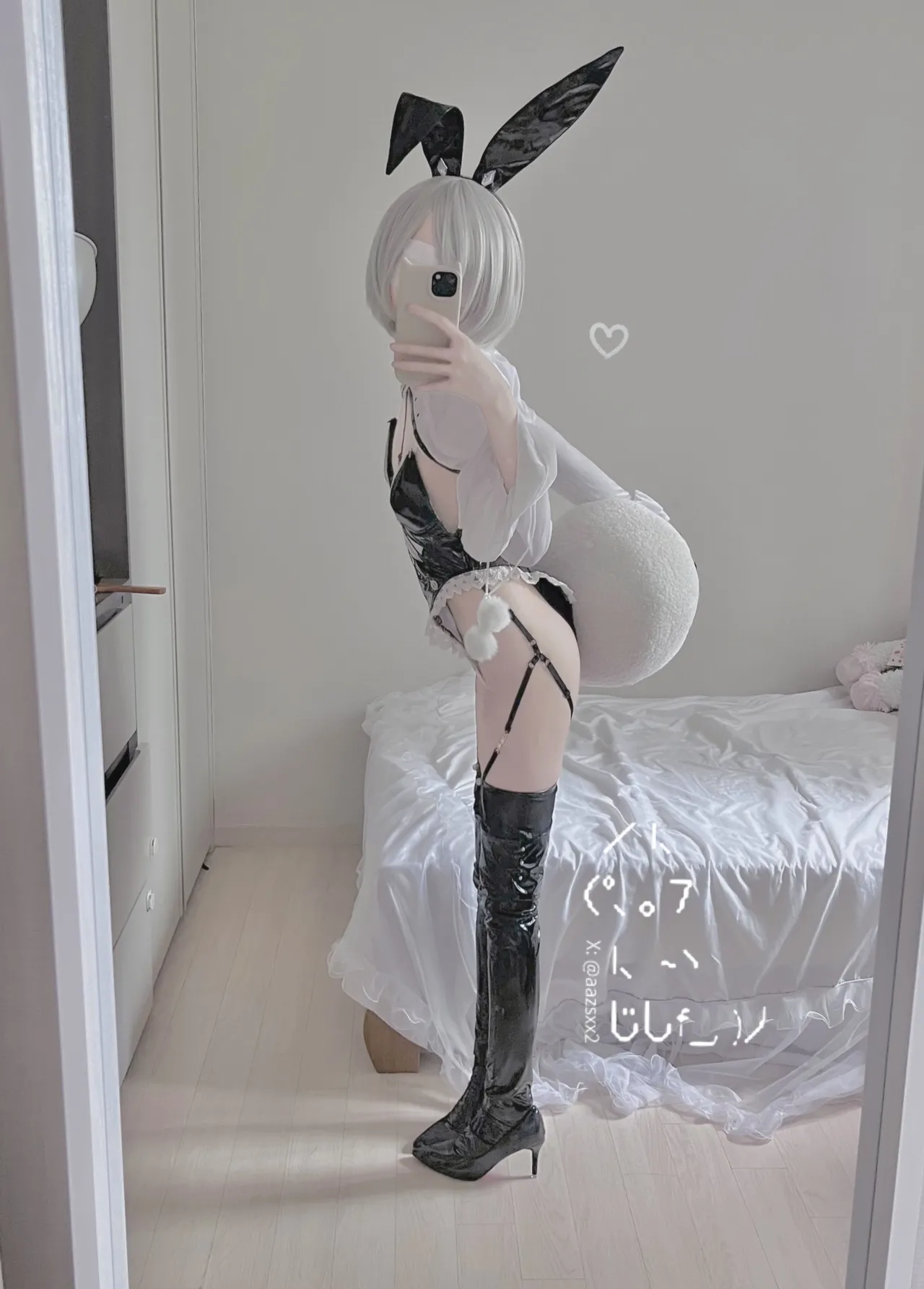 FANBOX - DAL Subscription Collection as of 2025.09 FANBOX - DAL Subscription Collection as of 2025.09