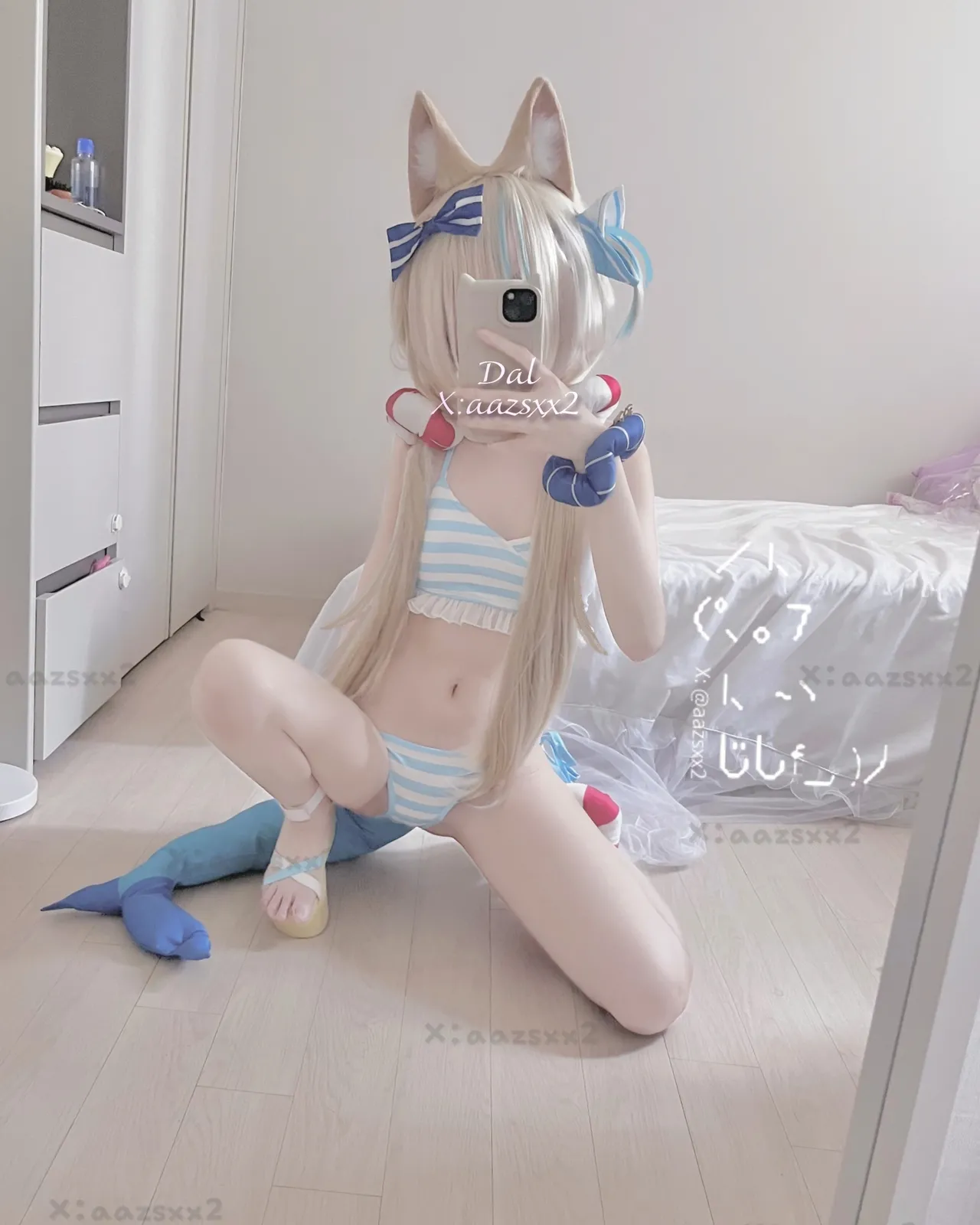 FANBOX - DAL Subscription Collection as of 2025.09 FANBOX - DAL Subscription Collection as of 2025.09