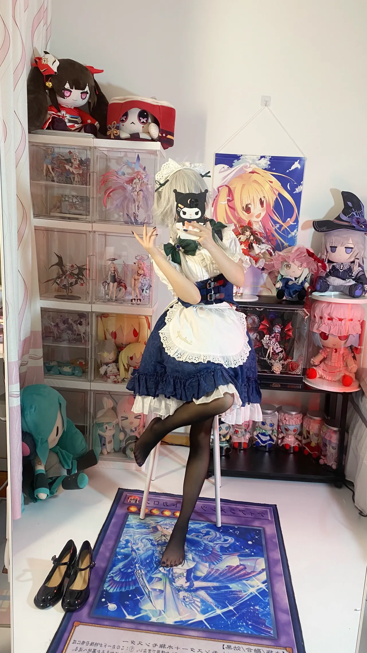 White oak Shirly - Sixteen nights bloom on the night White oak Shirly - Sixteen nights bloom on the night