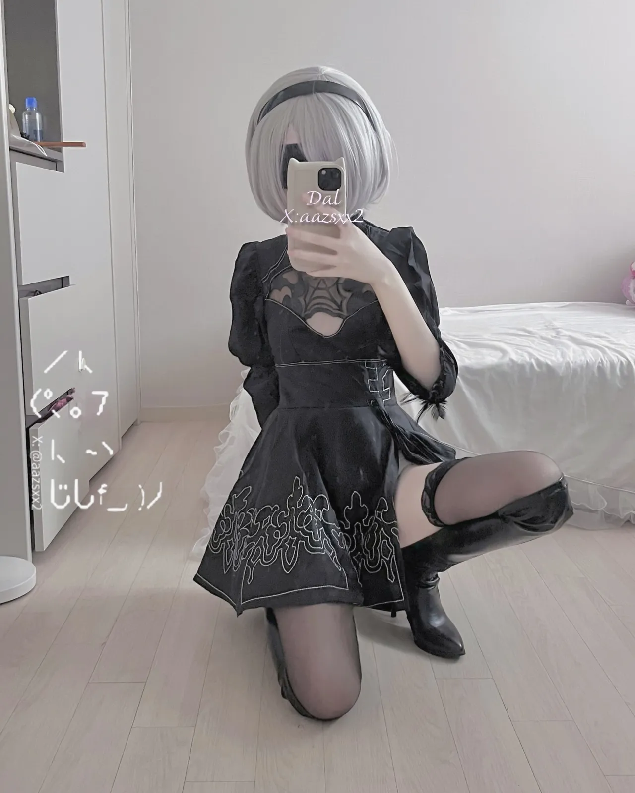 FANBOX - DAL Subscription Collection as of 2025.09 FANBOX - DAL Subscription Collection as of 2025.09