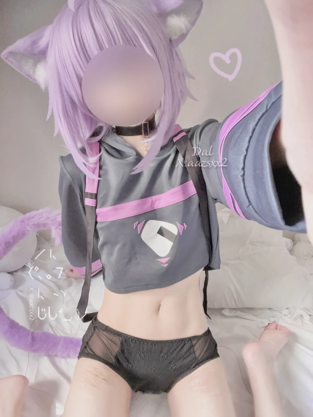 FANBOX - DAL Subscription Collection as of 2025.09 FANBOX - DAL Subscription Collection as of 2025.09