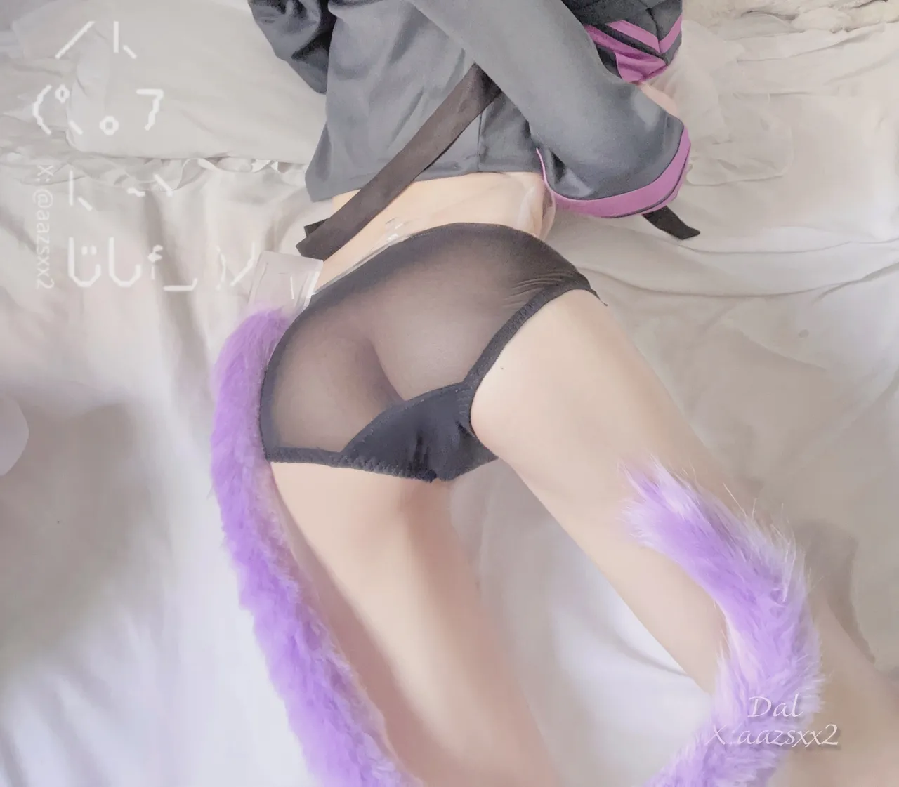 FANBOX - DAL Subscription Collection as of 2025.09 FANBOX - DAL Subscription Collection as of 2025.09