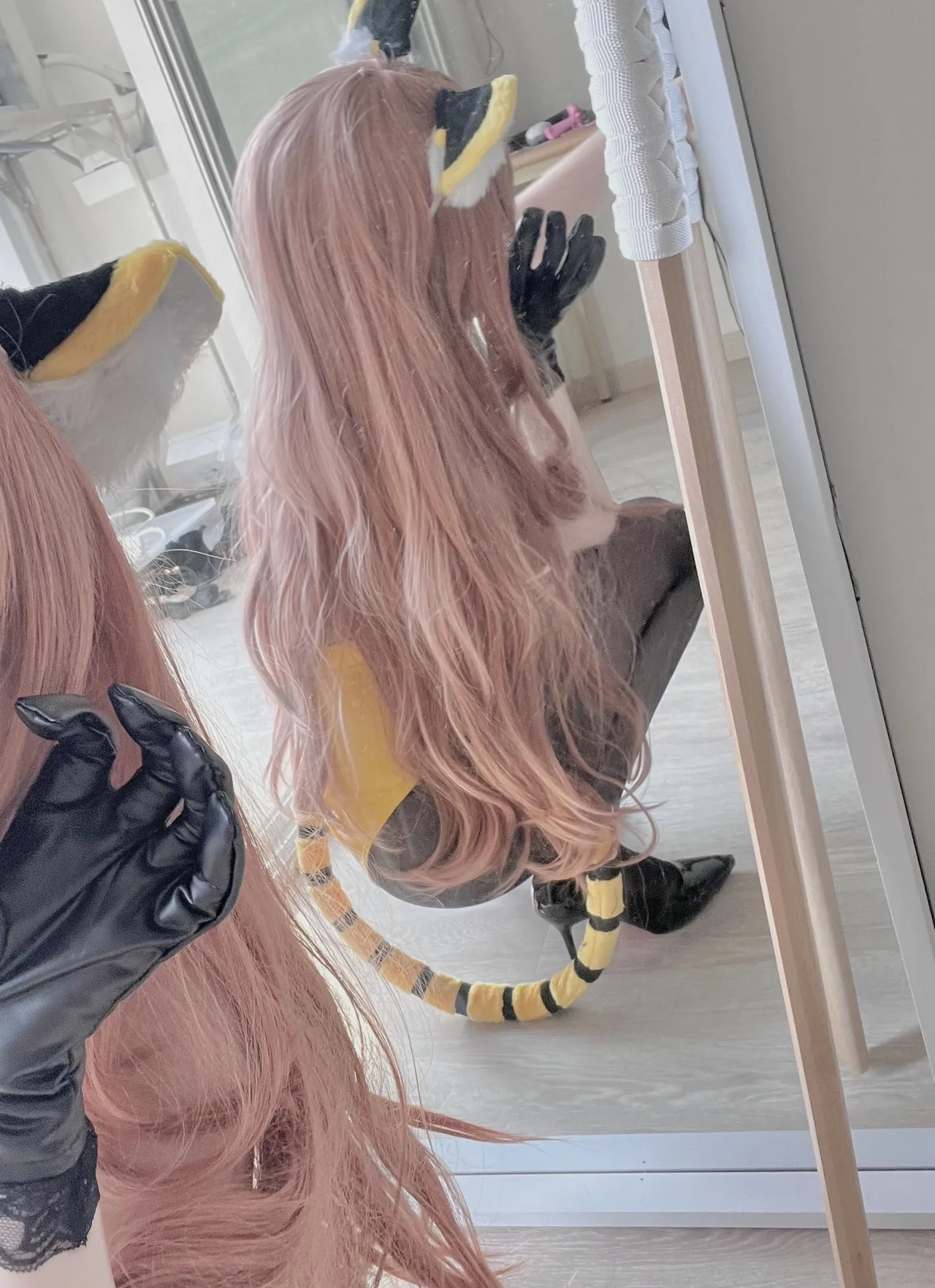 FANBOX - DAL Subscription Collection as of 2025.09 FANBOX - DAL Subscription Collection as of 2025.09