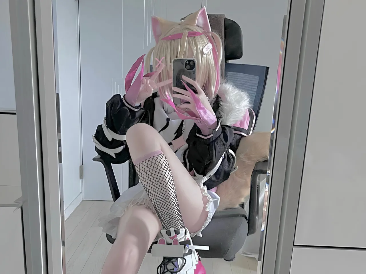 FANBOX - DAL Subscription Collection as of 2025.09 FANBOX - DAL Subscription Collection as of 2025.09