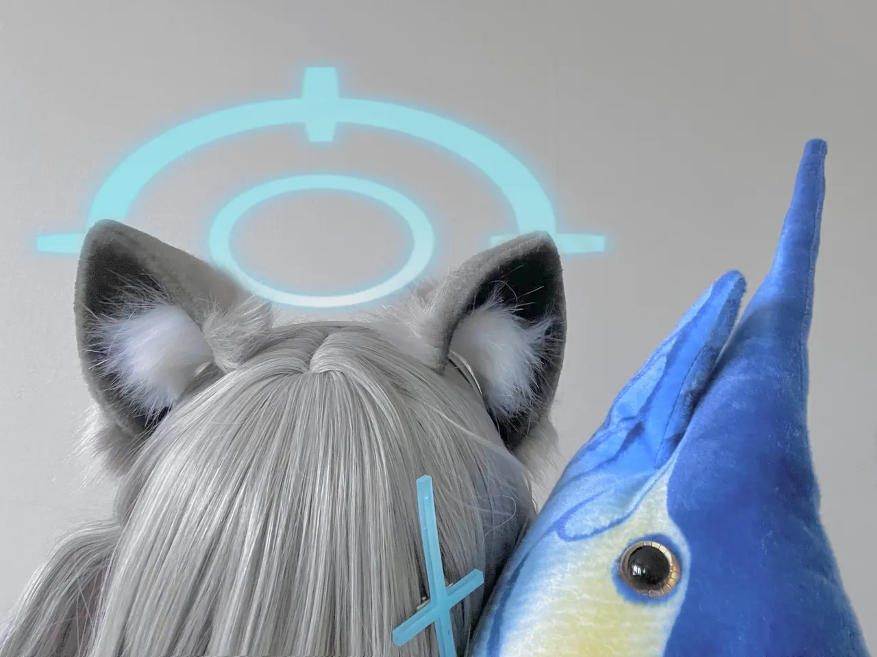 FANBOX - DAL Subscription Collection as of 2025.09 FANBOX - DAL Subscription Collection as of 2025.09