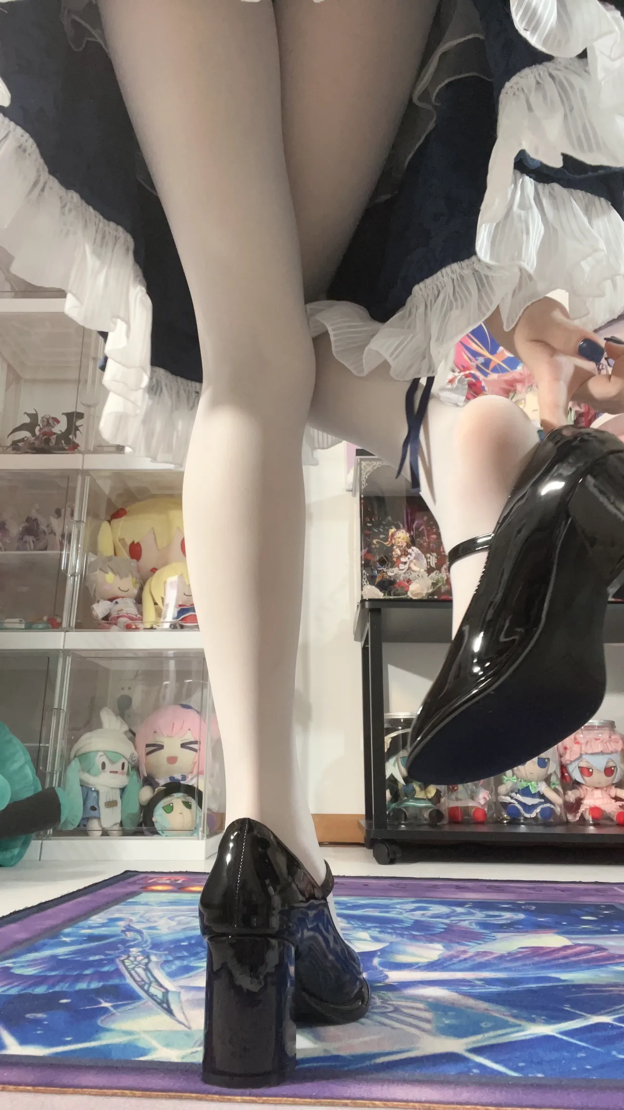 White oak Shirly - Sixteen nights bloom on the night White oak Shirly - Sixteen nights bloom on the night