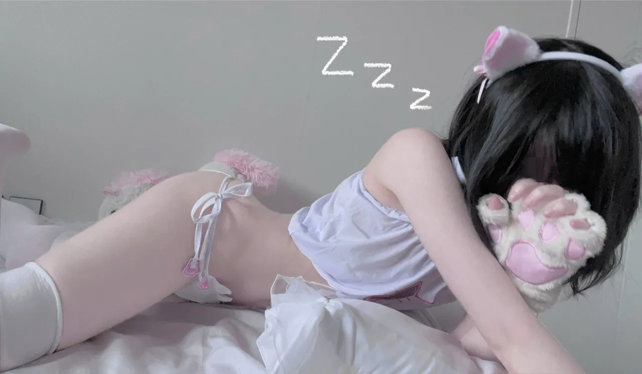 FANBOX - DAL Subscription Collection as of 2025.09 FANBOX - DAL Subscription Collection as of 2025.09