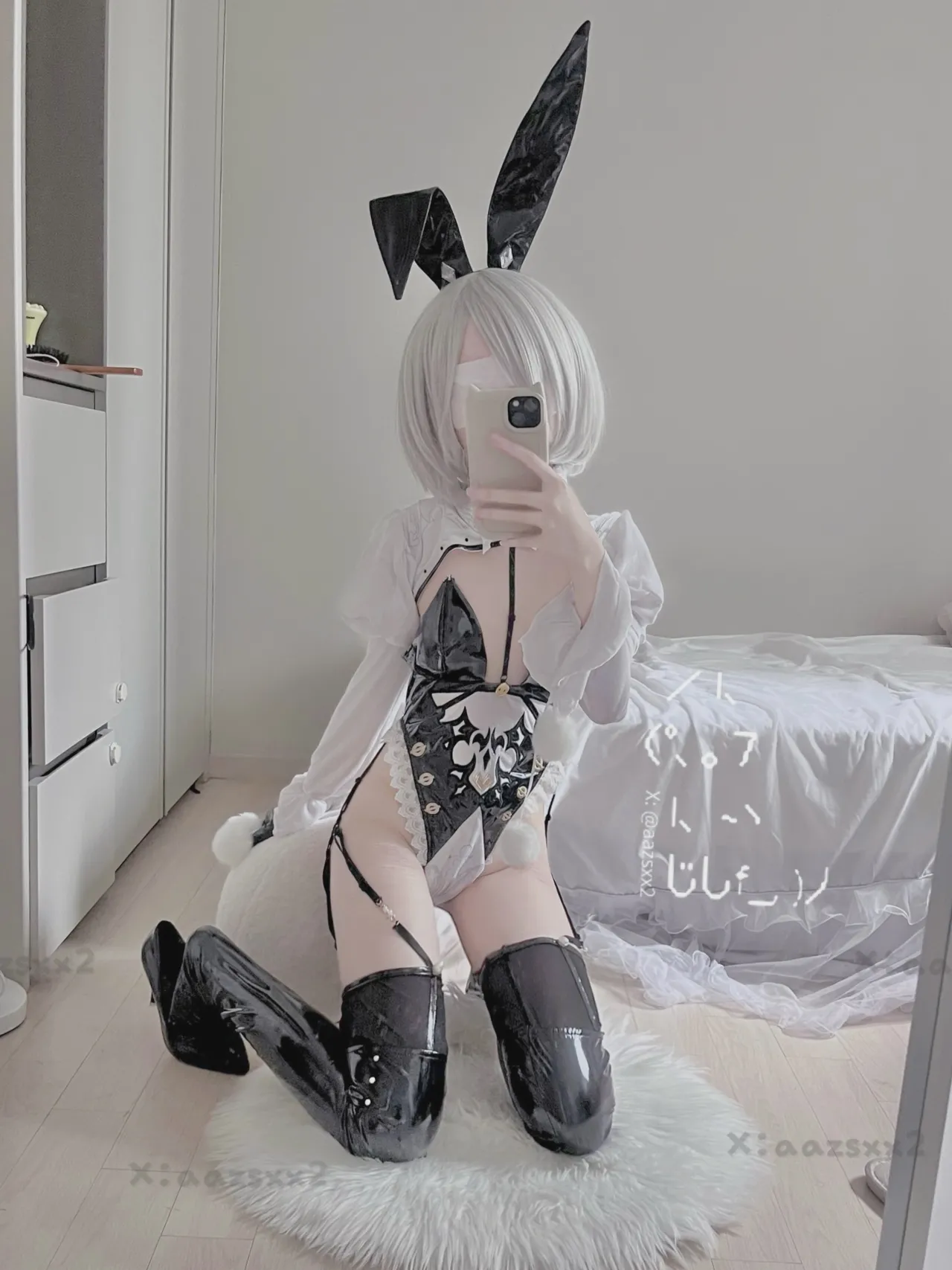 FANBOX - DAL Subscription Collection as of 2025.09 FANBOX - DAL Subscription Collection as of 2025.09