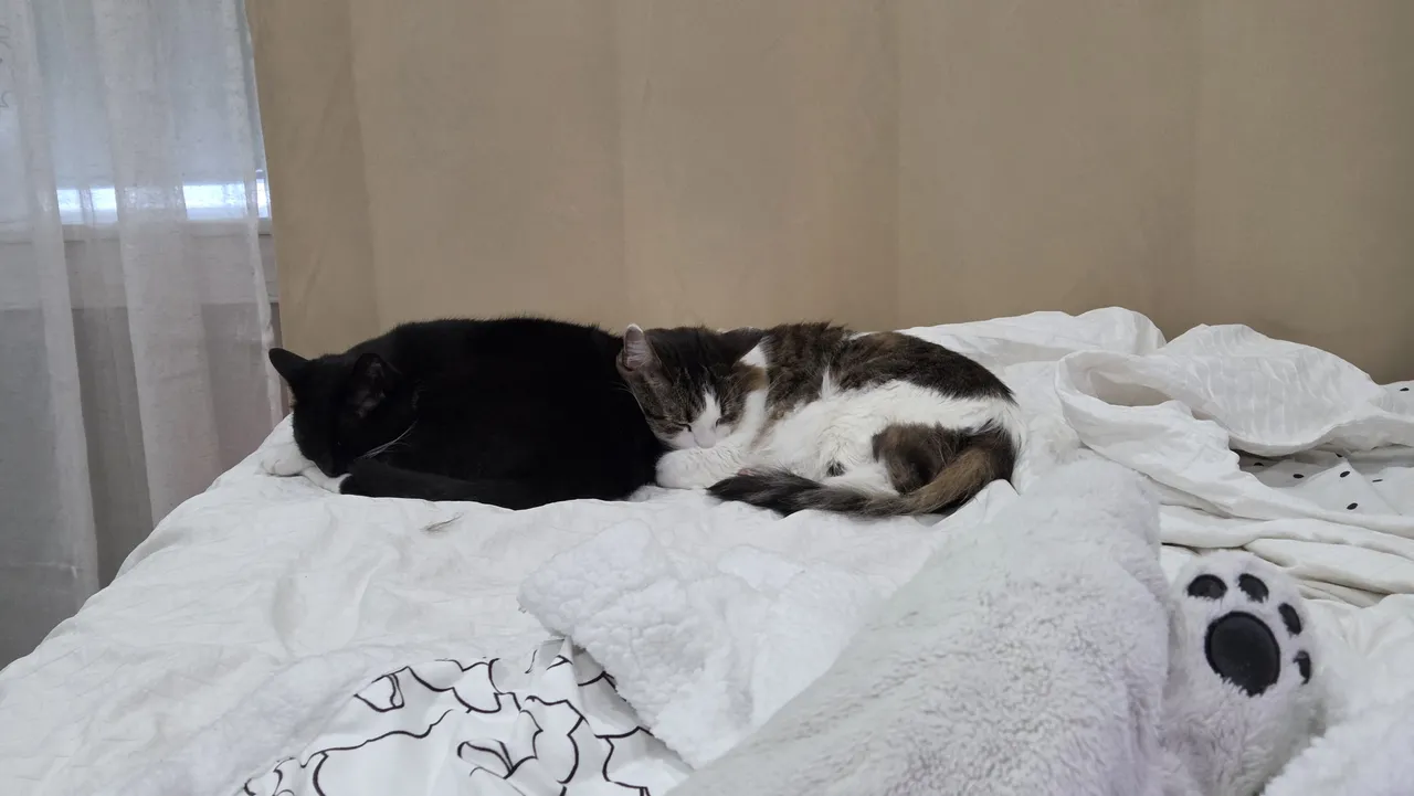 Celebi cosplay - Perona Celebi cosplay - Perona