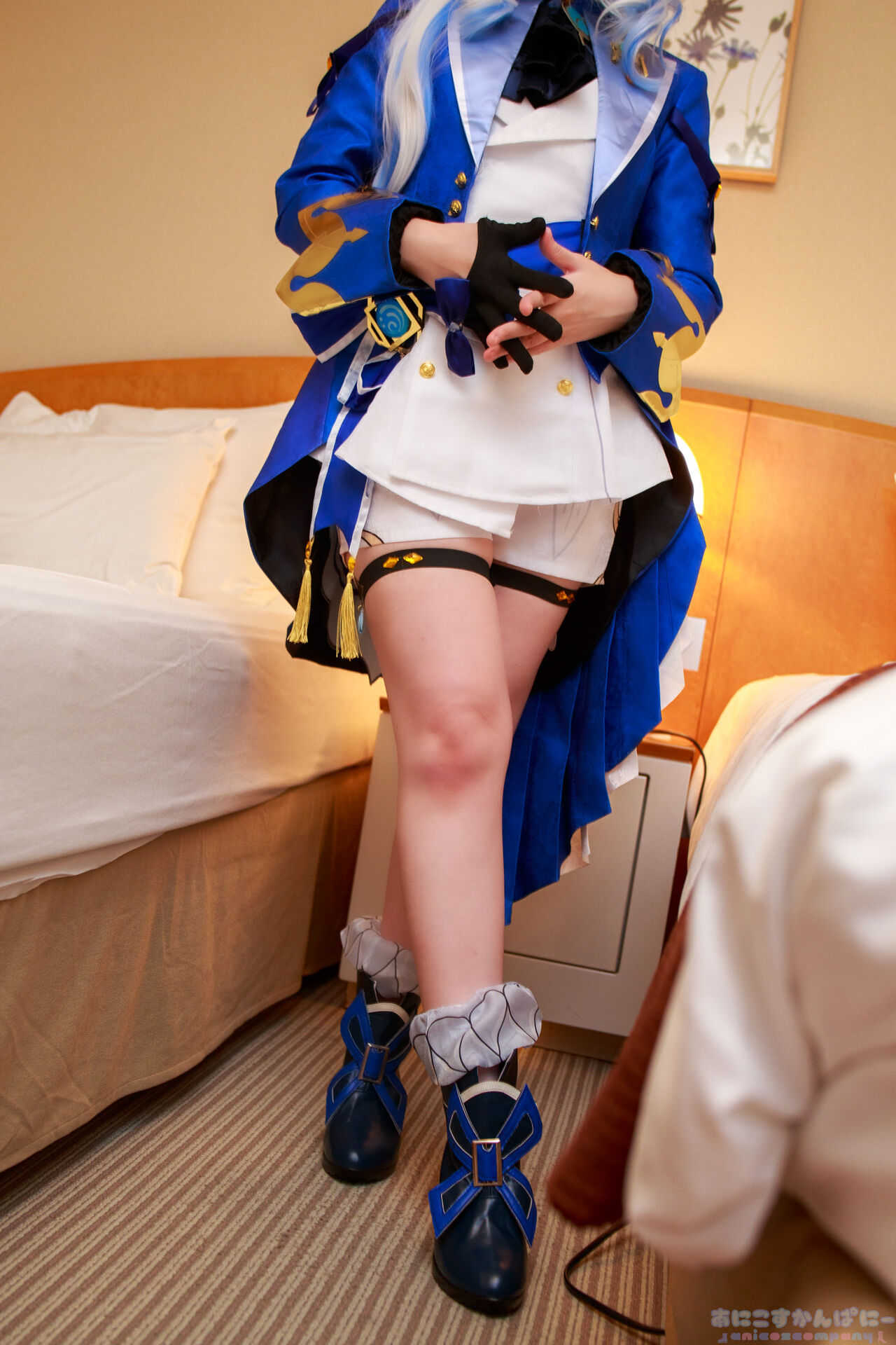 ANICOSINC FRN ANICOSINC FRN