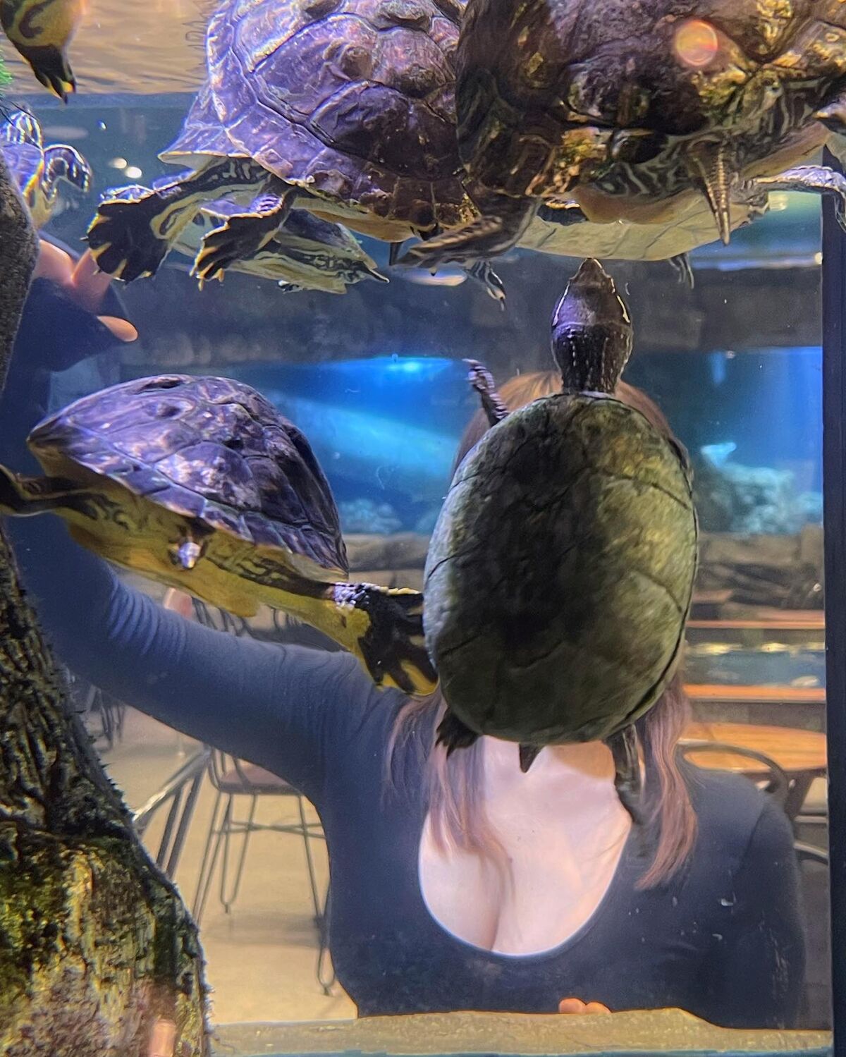 Auddk_77 Myeong-ah - Myeong-a is Otoke Part04 (68P) Auddk_77 Myeong-ah - Myeong-a is Otoke Part04 (68P)