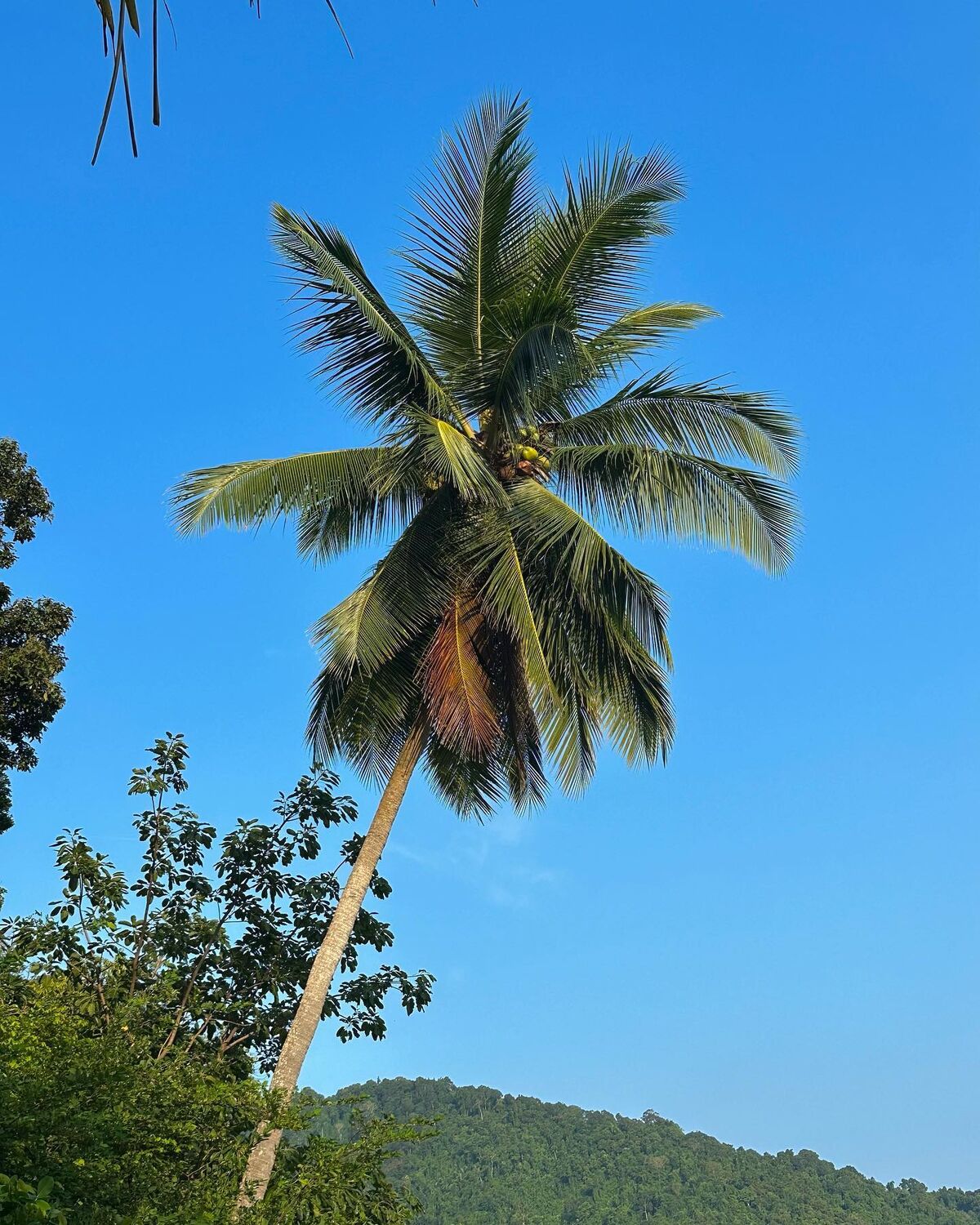 Auddk_77 Myeong-A - Myeong-a Otoke Part02 (68P) Auddk_77 Myeong-A - Myeong-a Otoke Part02 (68P)