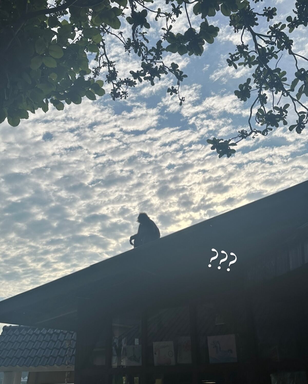 Auddk_77 Myeong-ah - Myeong-a is Otoke Part04 (68P) Auddk_77 Myeong-ah - Myeong-a is Otoke Part04 (68P)