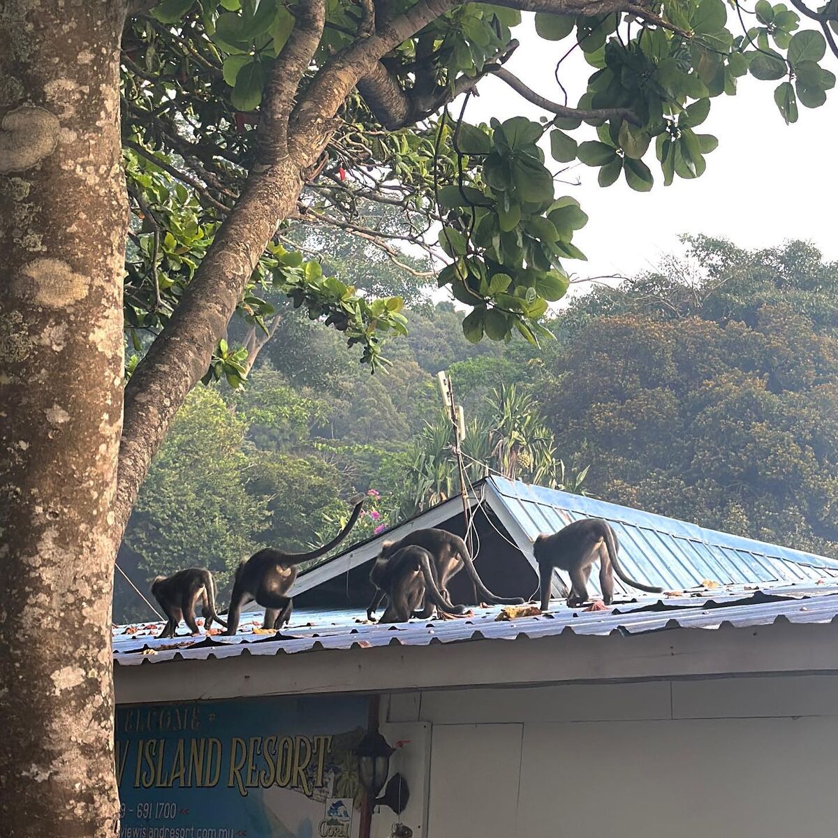 Auddk_77 Myeong-A - Myeong-a Otoke Part02 (68P) Auddk_77 Myeong-A - Myeong-a Otoke Part02 (68P)