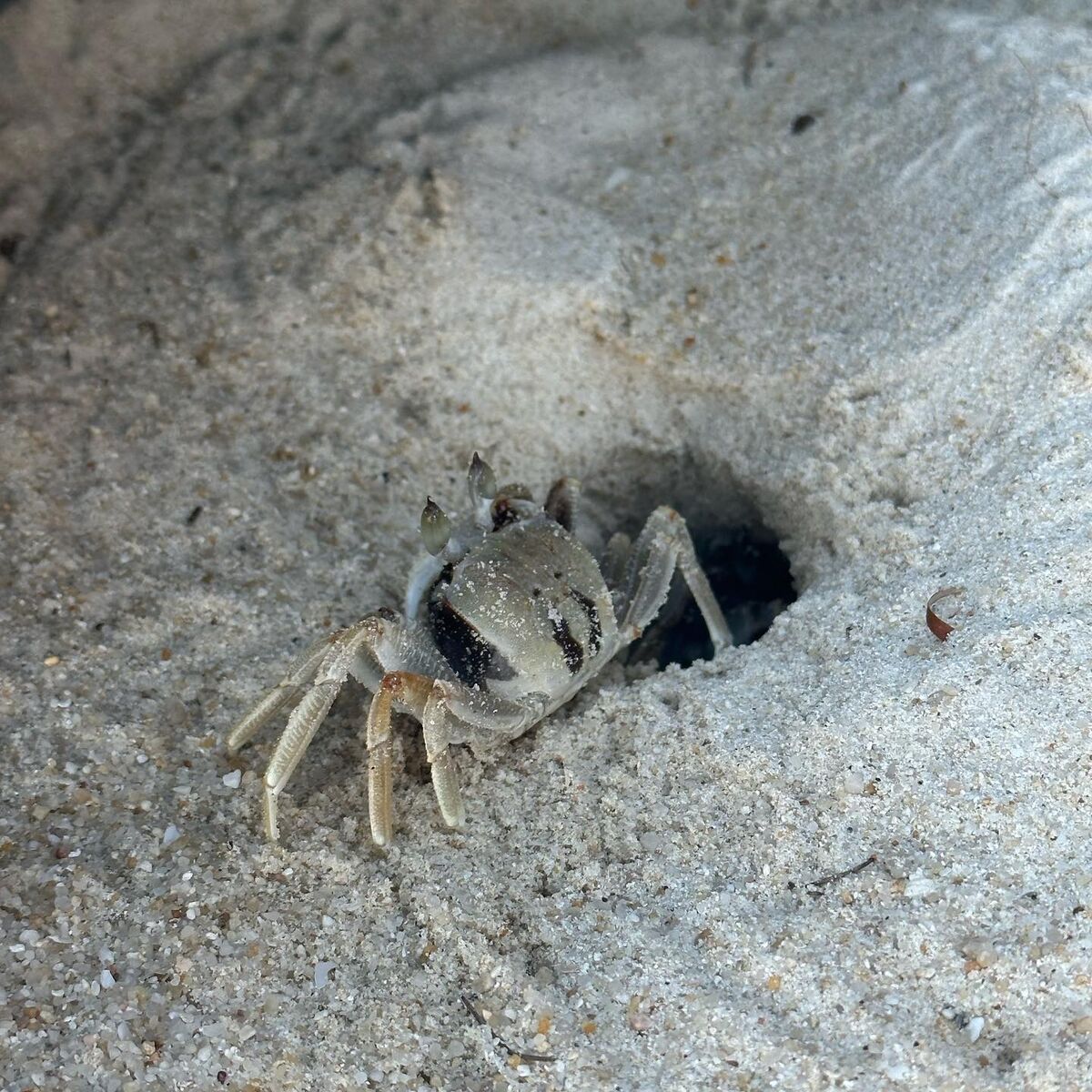 Auddk_77 Myeong-A - Myeong-a Otoke Part02 (68P) Auddk_77 Myeong-A - Myeong-a Otoke Part02 (68P)