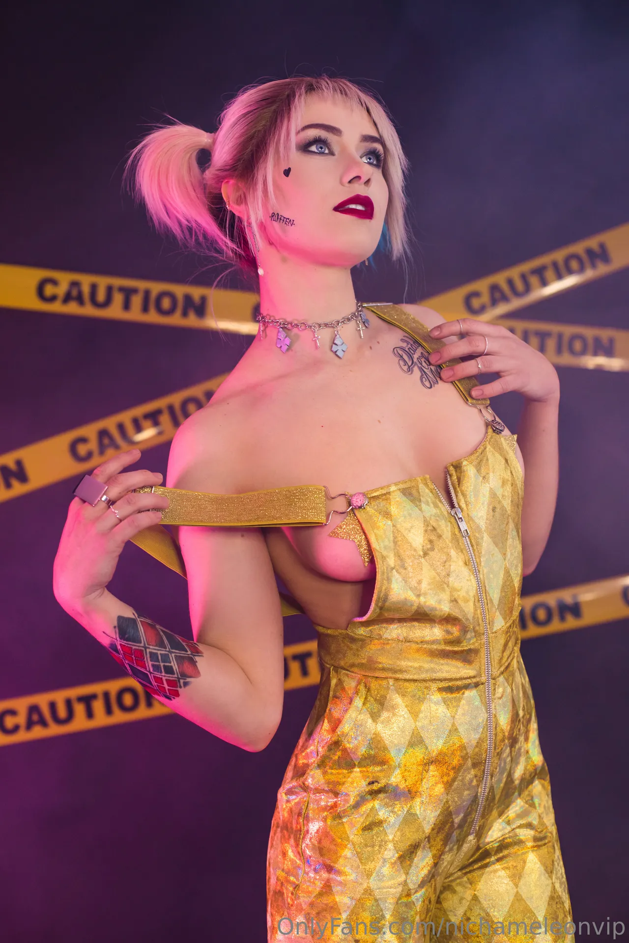 Nichameleon - Harley Nichameleon - Harley