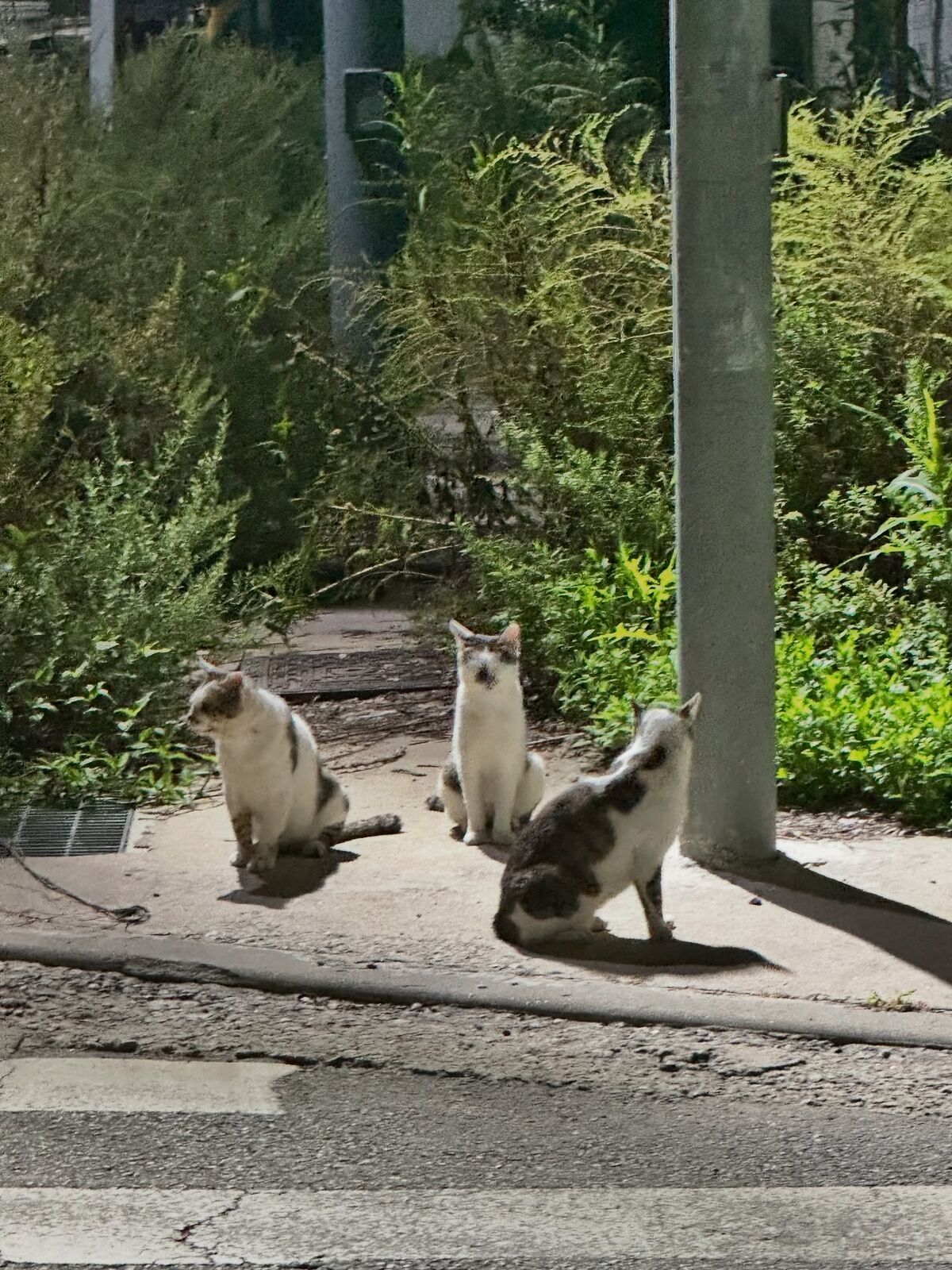 Auddk_77 Myeong-ah - Myeong-a is Otoke Part07 (68P) Auddk_77 Myeong-ah - Myeong-a is Otoke Part07 (68P)