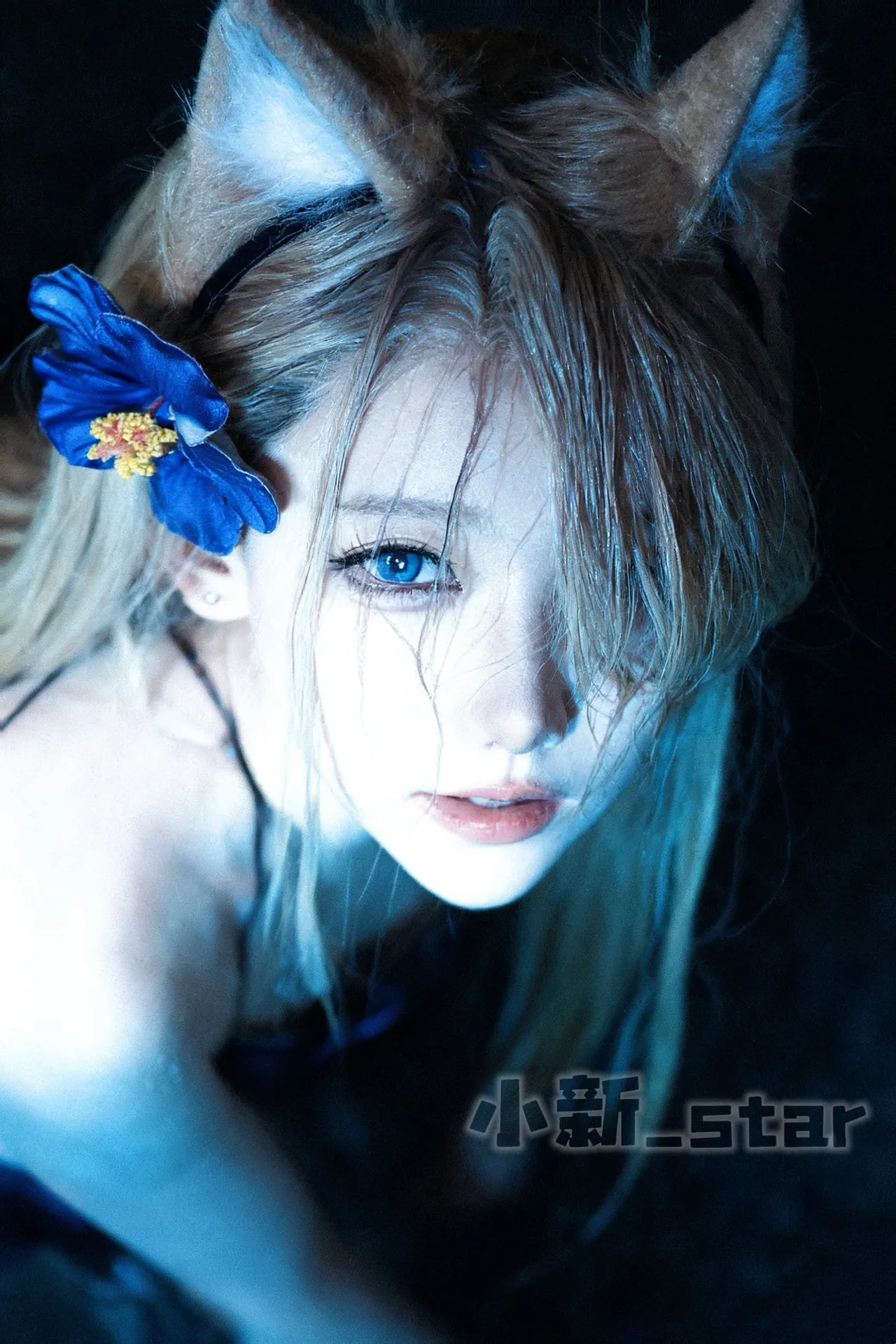 Shin-chan star Shin-chan star