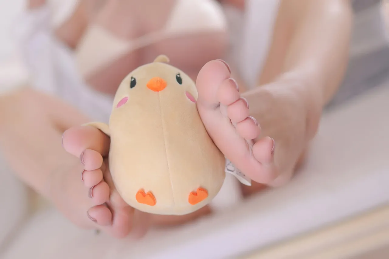 Cherry blossoms are full of three o Cherry blossoms are full of three o