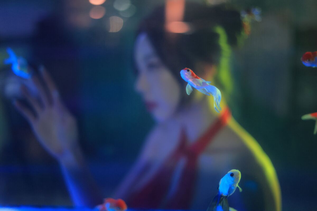 Dongeuran 동그란 - Hong Kong Part03 (52P) Dongeuran 동그란 - Hong Kong Part03 (52P)