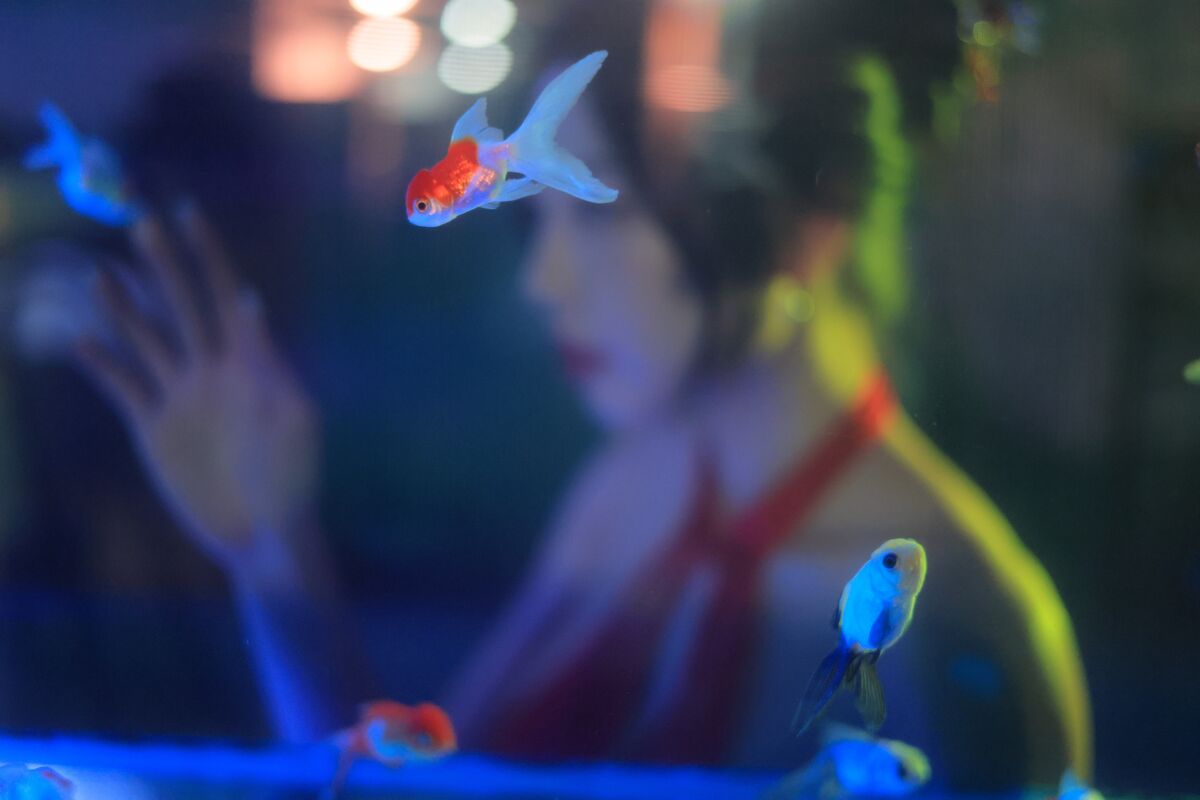 Dongeuran 동그란 - Hong Kong Part03 (52P) Dongeuran 동그란 - Hong Kong Part03 (52P)