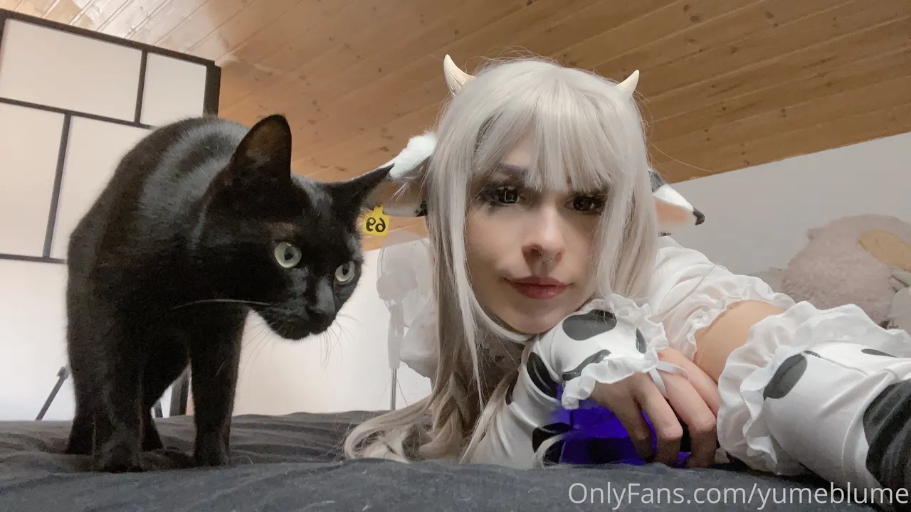 Yume Blume - Cow Tsuki Yume Blume - Cow Tsuki