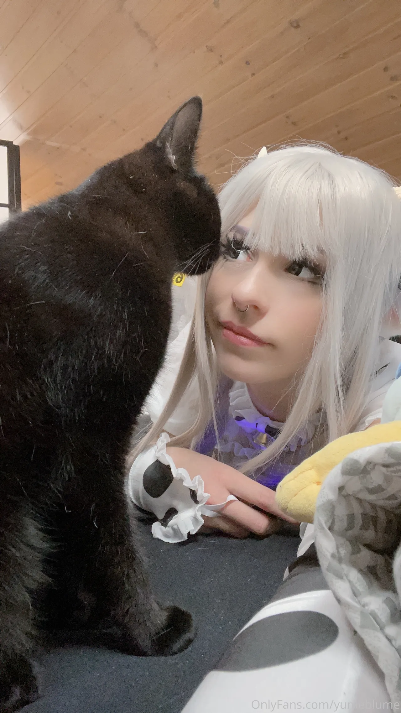 Yume Blume - Cow Tsuki Yume Blume - Cow Tsuki