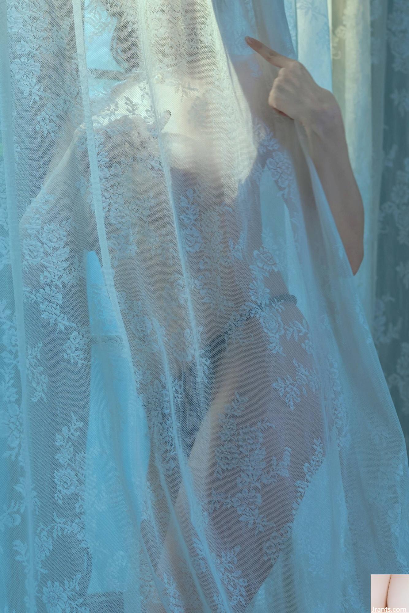 Welfare Girl Akiwa Corgi Welfare Girl Akiwa Corgi