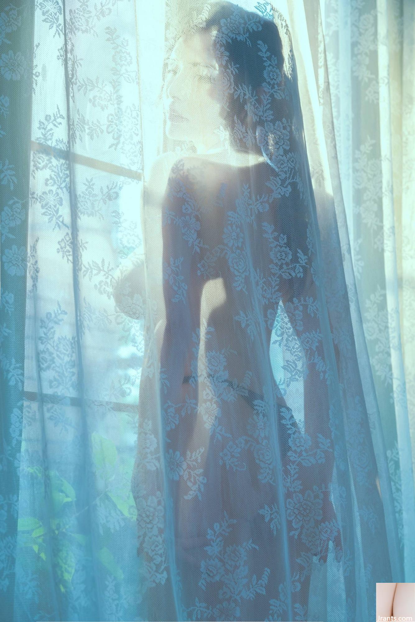 Welfare Girl Akiwa Corgi Welfare Girl Akiwa Corgi