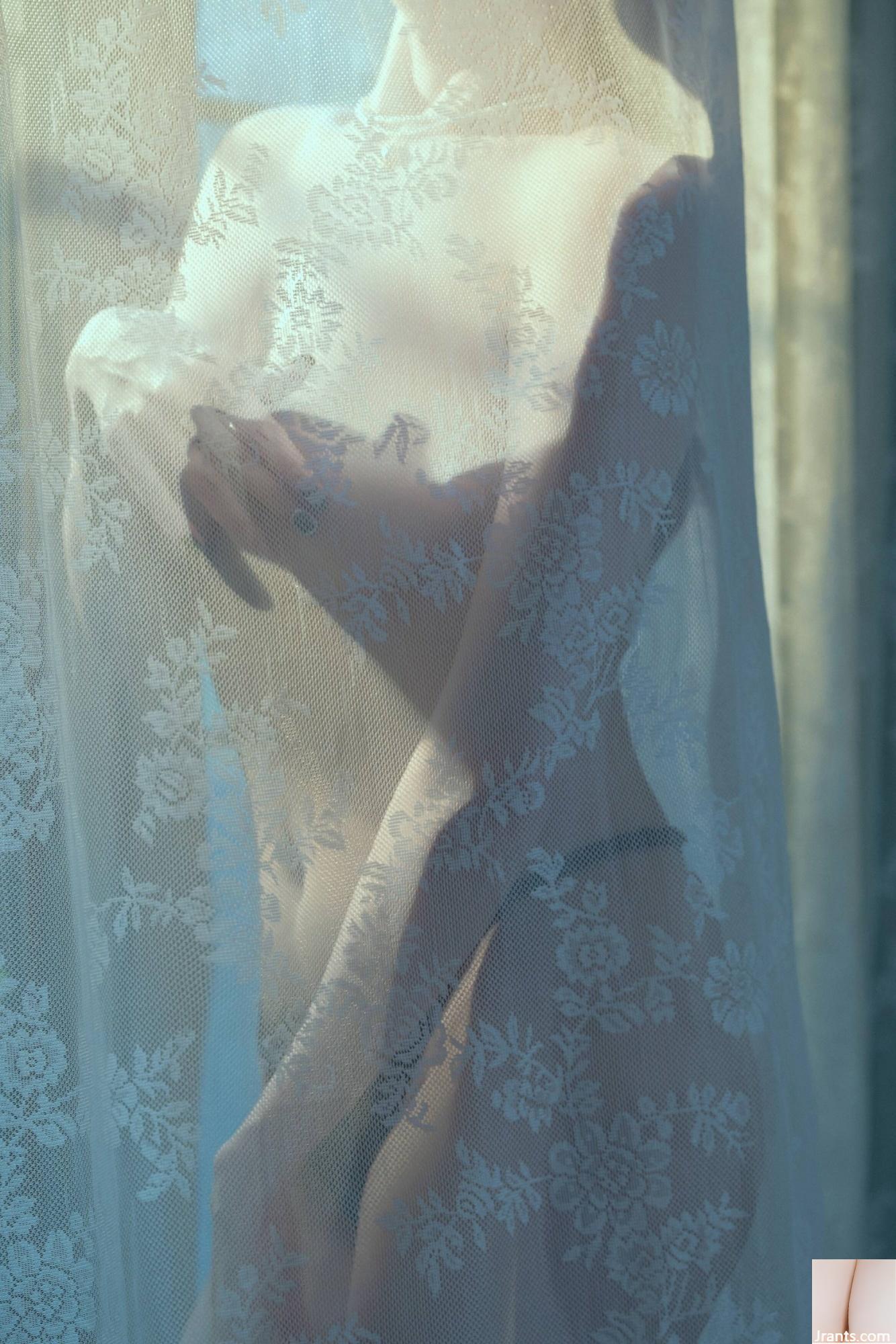 Welfare Girl Akiwa Corgi Welfare Girl Akiwa Corgi