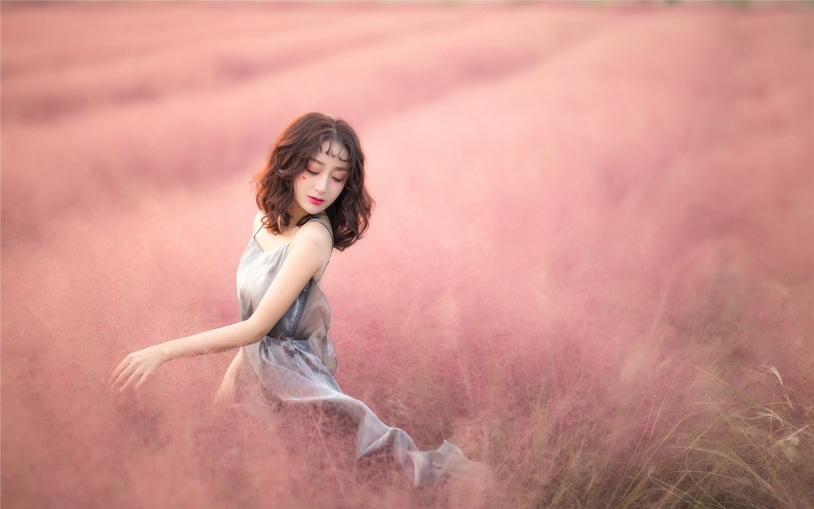 Beautiful flower field of pure beauty photo Beautiful flower field of pure beauty photo