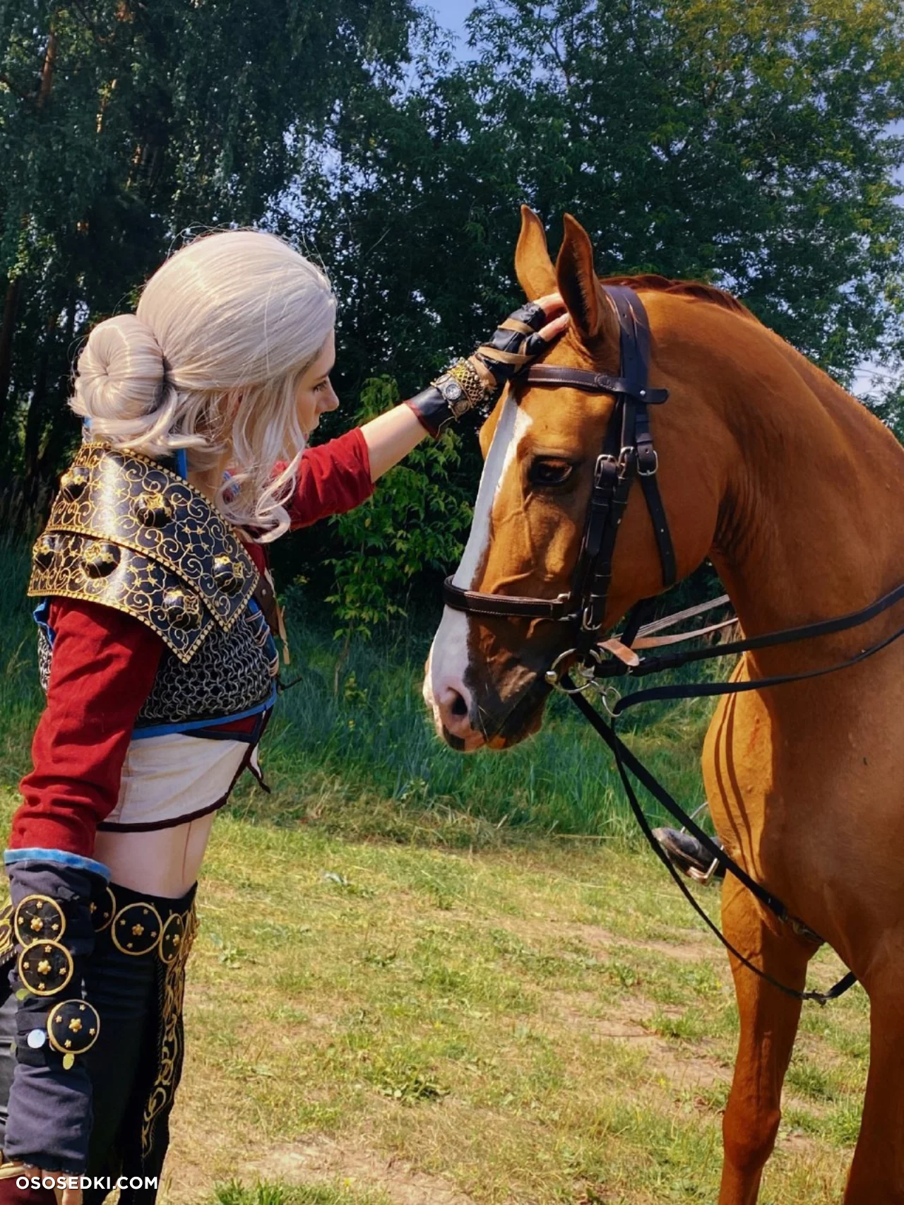 Ciri (MikAllen) Ciri (MikAllen)