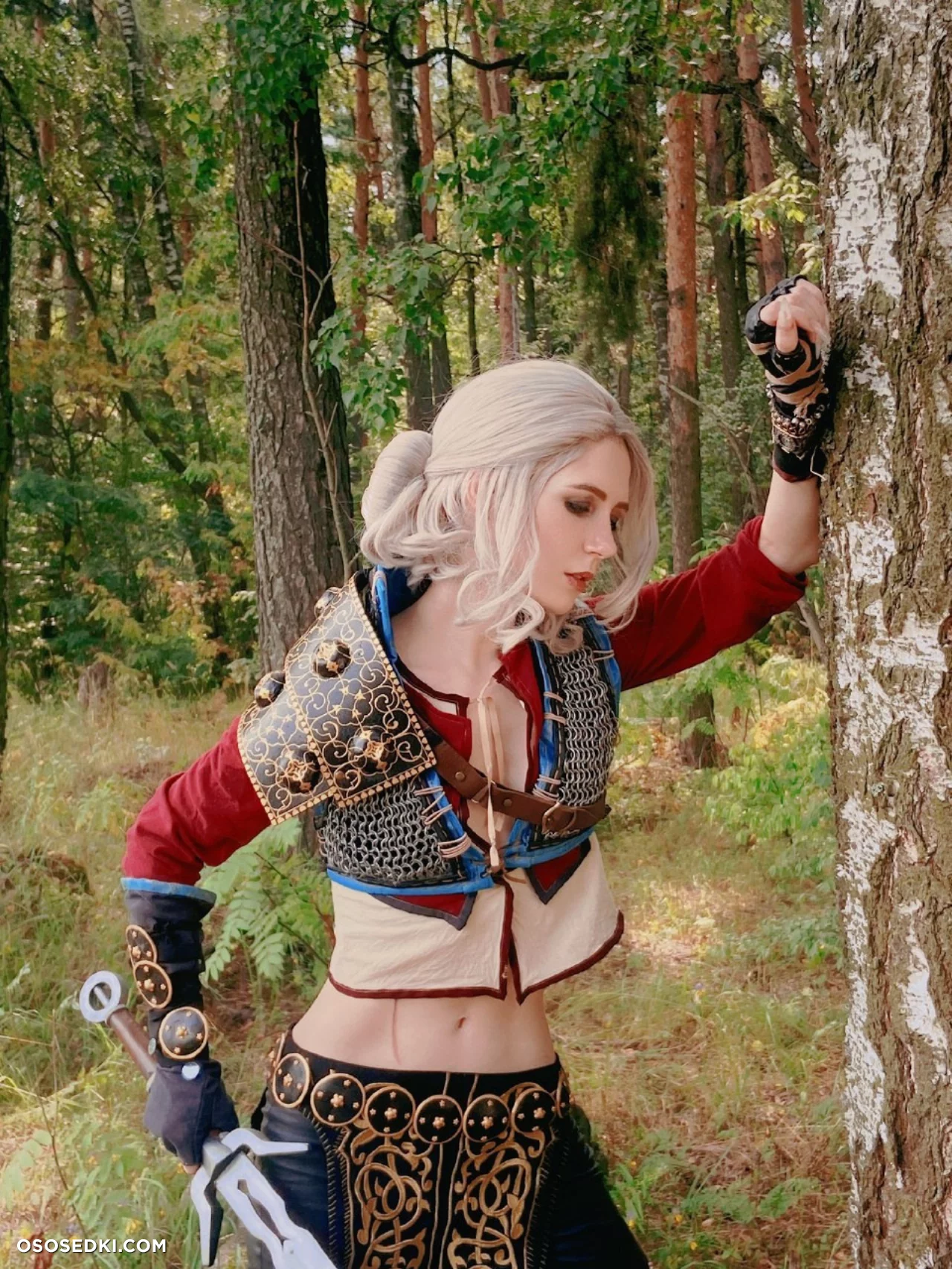Ciri (MikAllen) Ciri (MikAllen)