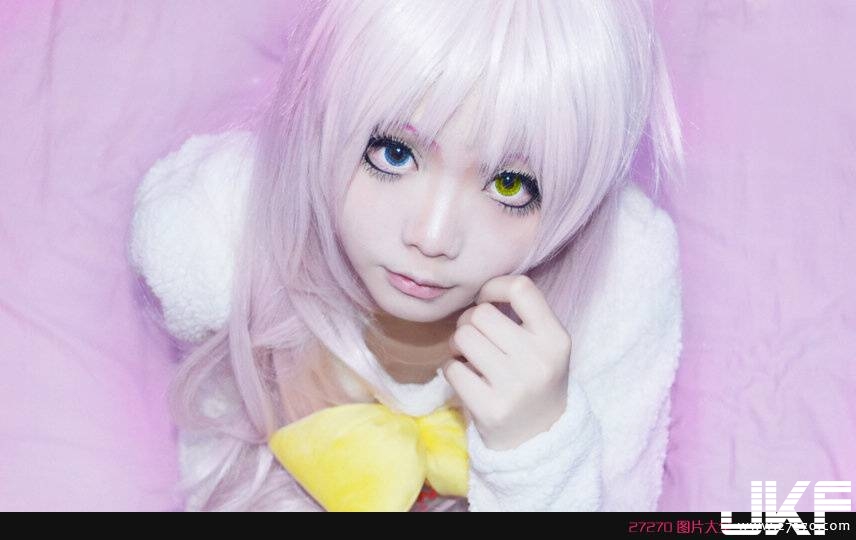 Sexy budding 貓 beautiful girl - Cosplay Sexy budding 貓 beautiful girl - Cosplay