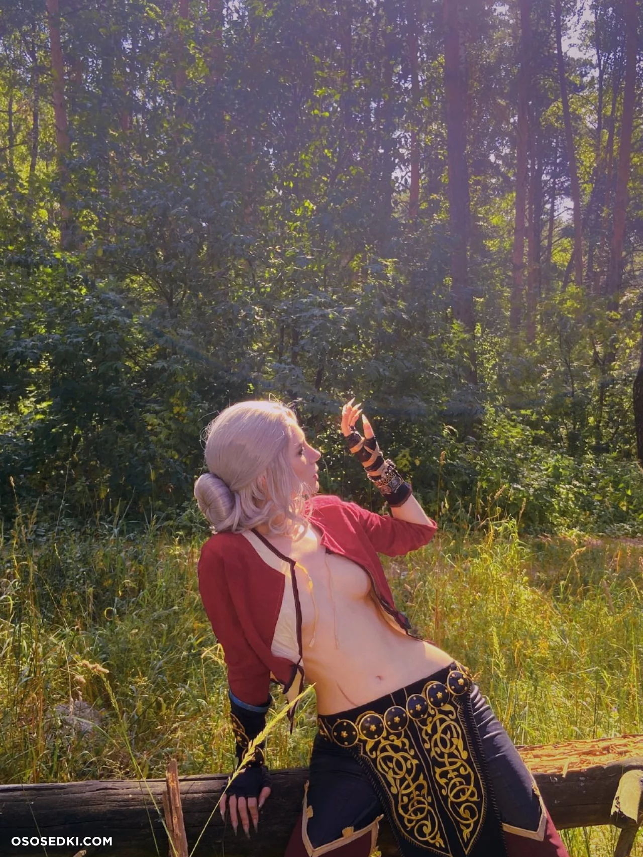 Ciri (MikAllen) Ciri (MikAllen)
