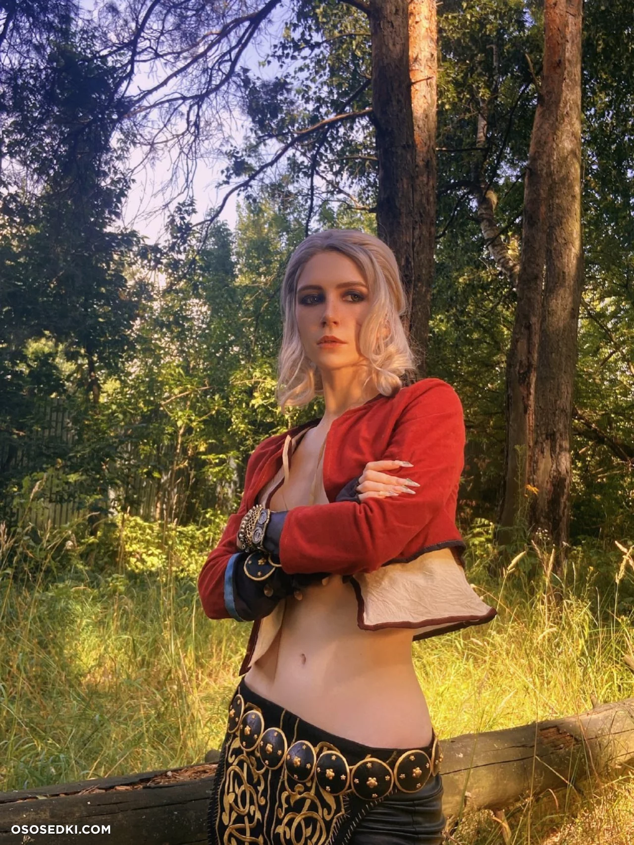 Ciri (MikAllen) Ciri (MikAllen)