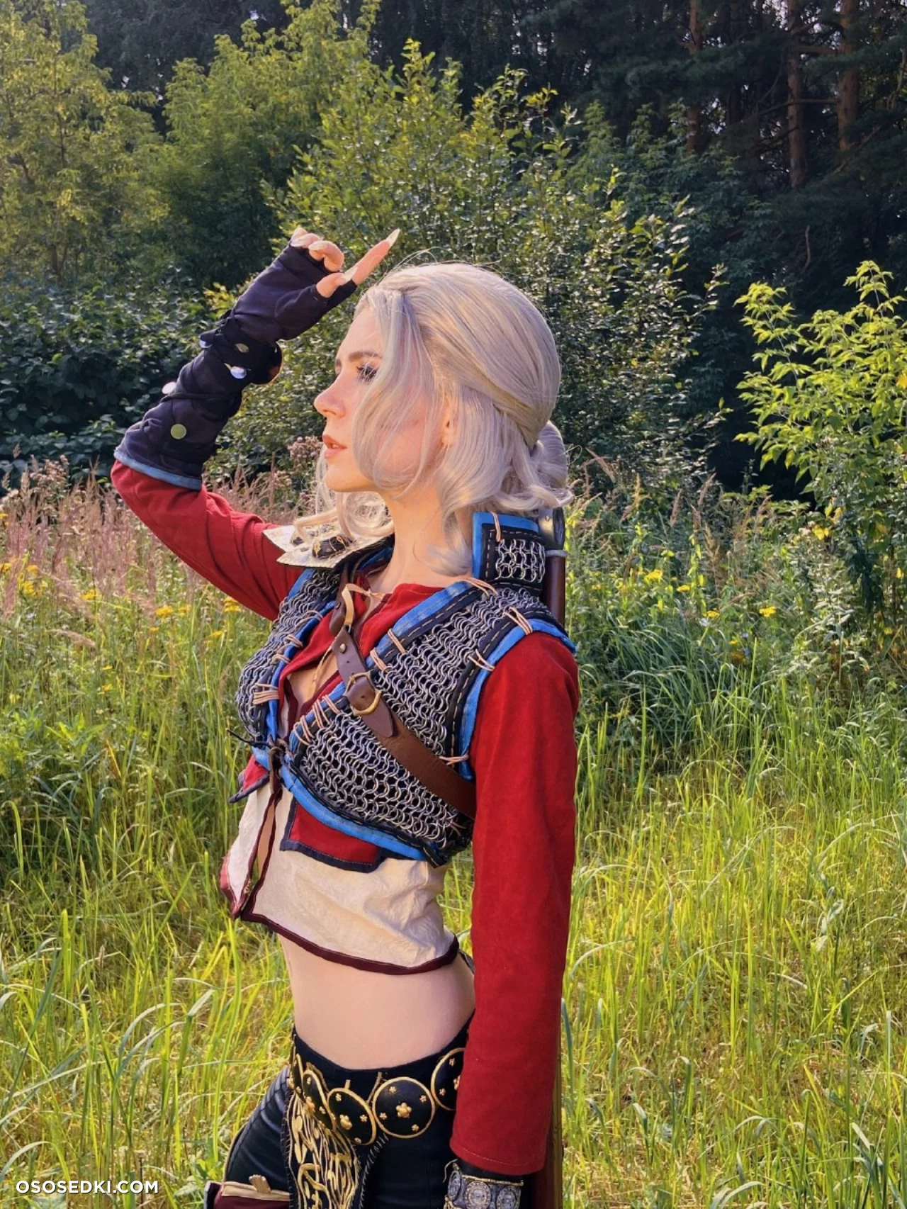 Ciri (MikAllen) Ciri (MikAllen)