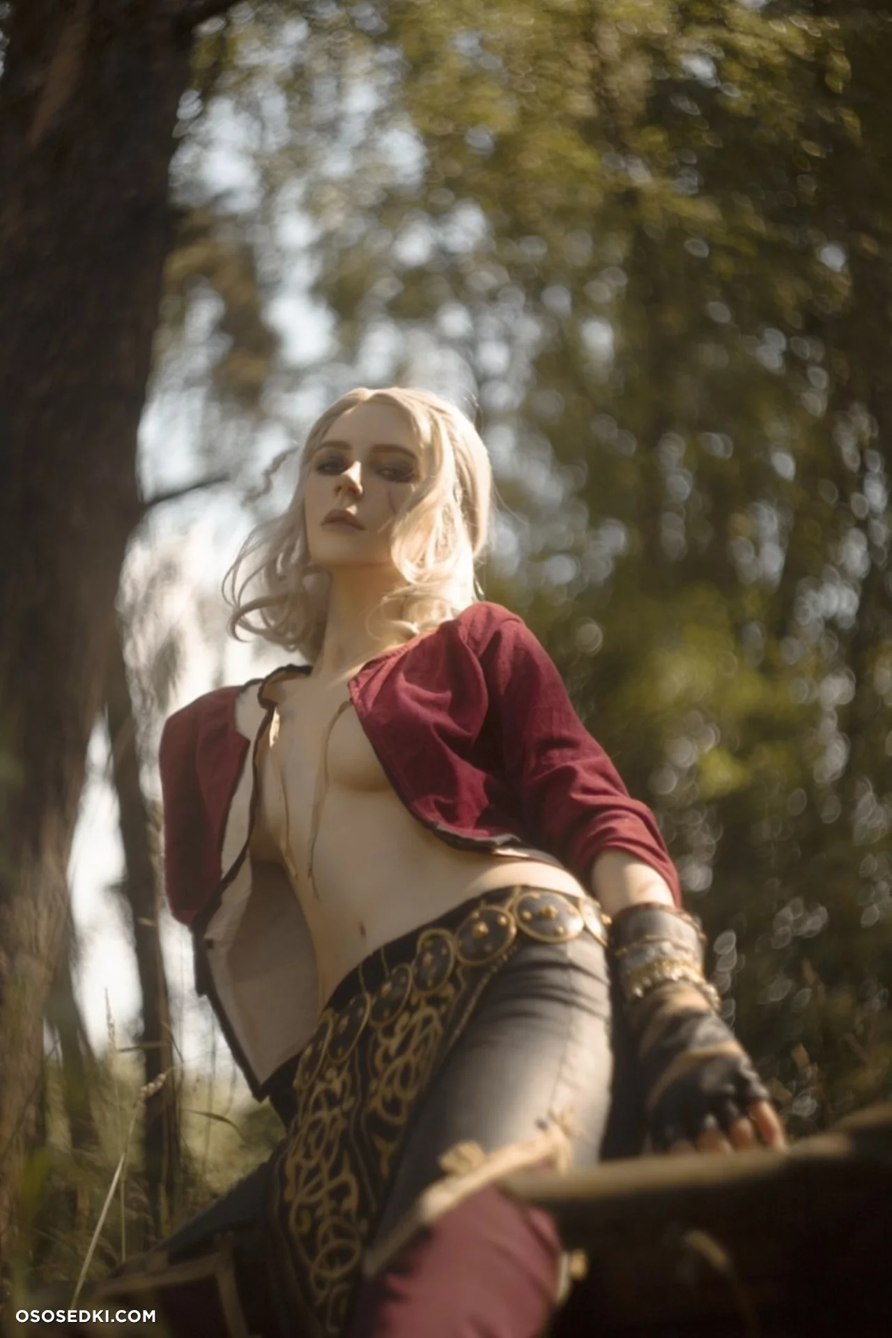 Ciri (MikAllen) Ciri (MikAllen)