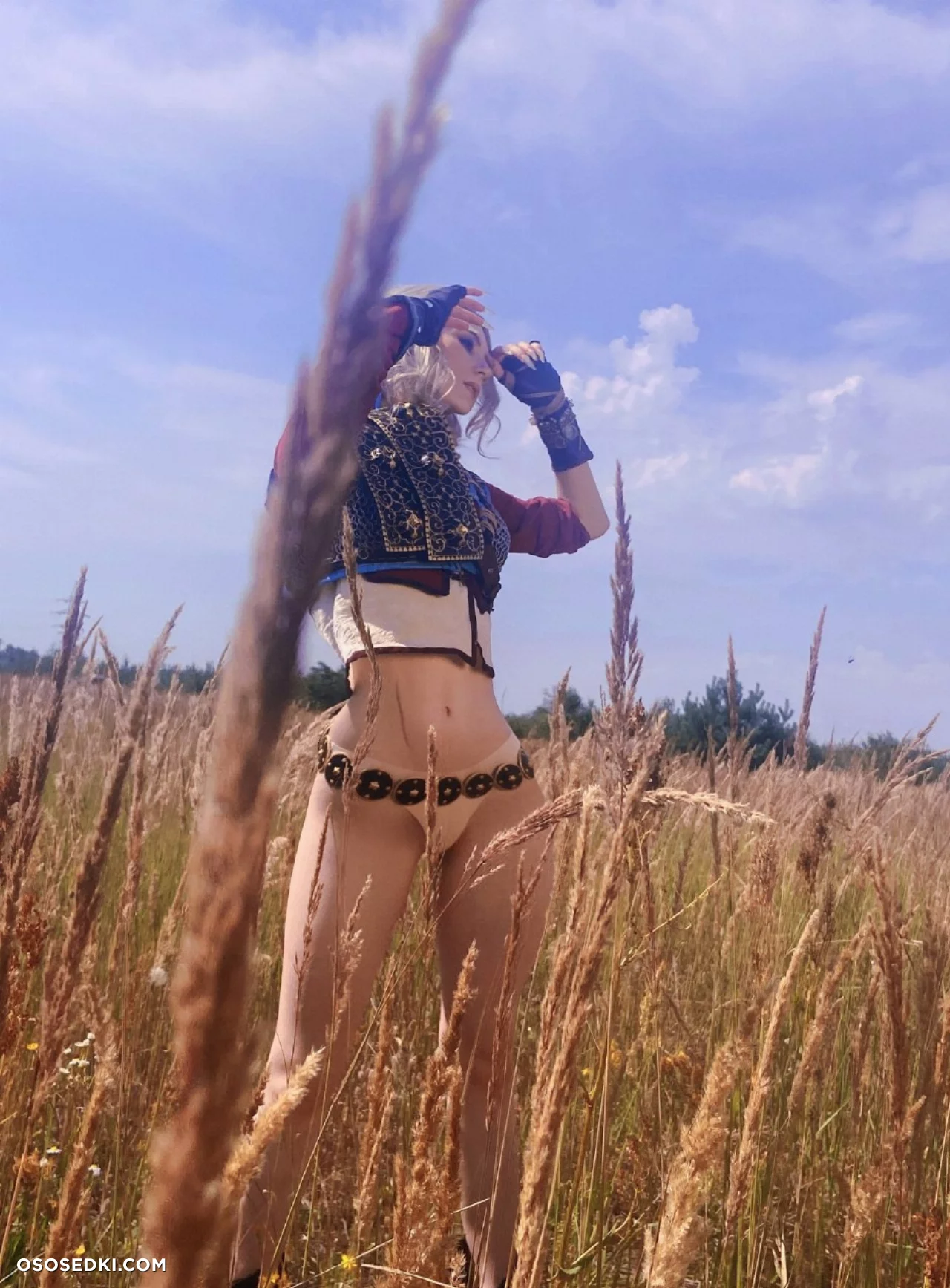 Ciri (MikAllen) Ciri (MikAllen)