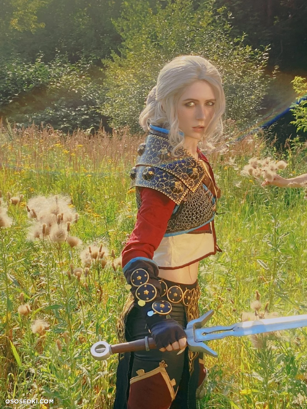 Ciri (MikAllen) Ciri (MikAllen)