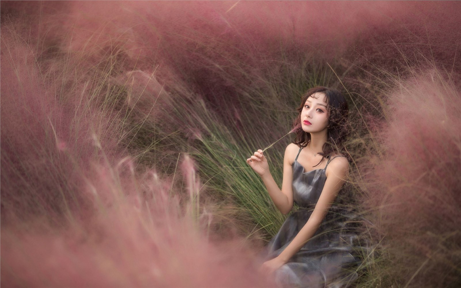 Beautiful flower field of pure beauty photo Beautiful flower field of pure beauty photo