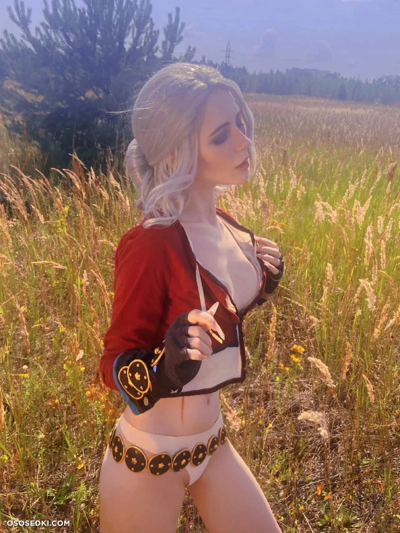 Ciri (MikAllen) Ciri (MikAllen)