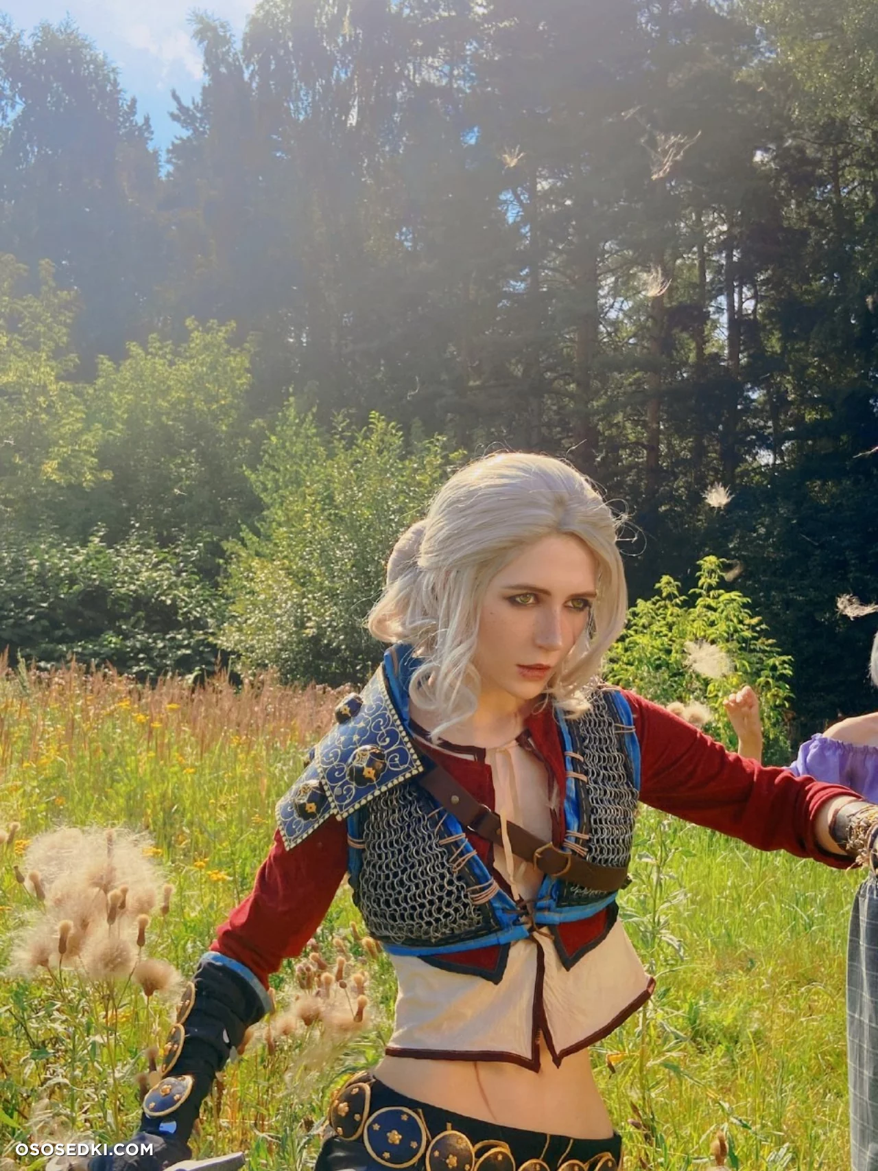 Ciri (MikAllen) Ciri (MikAllen)
