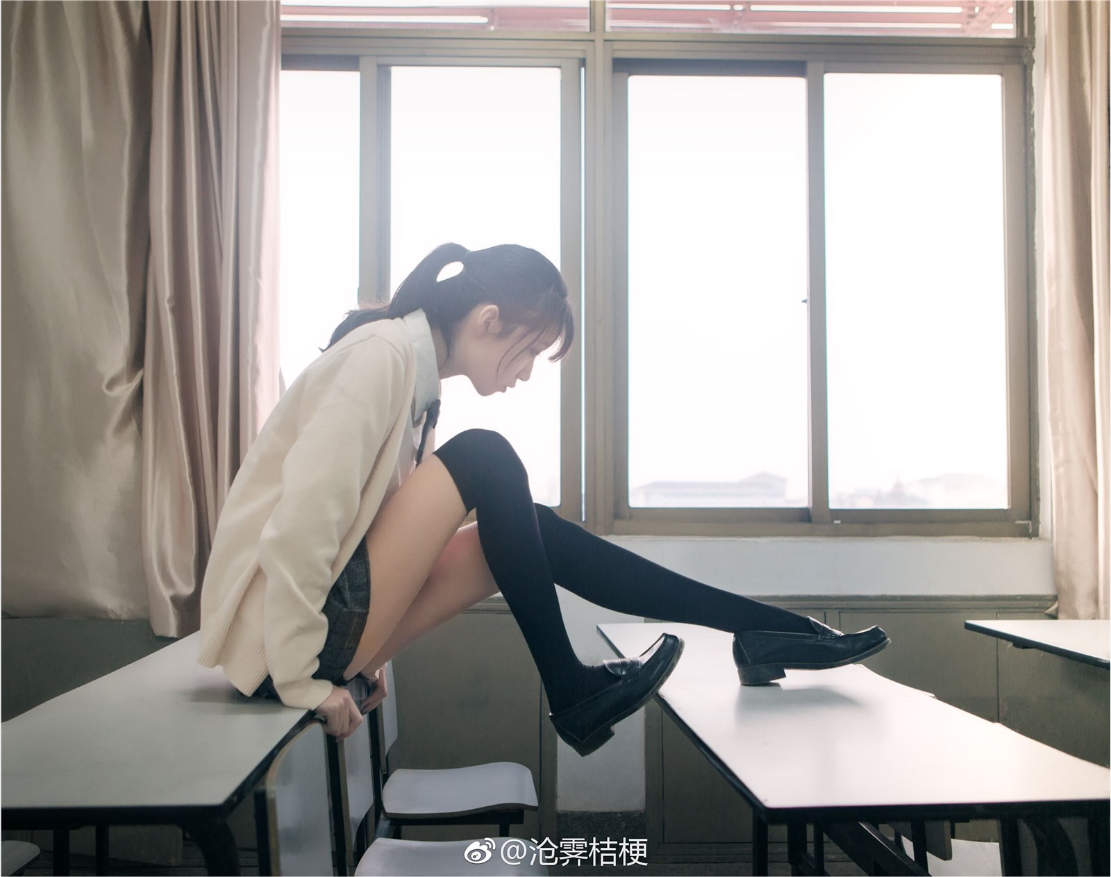 沧霁桔梗微博图 Daily 1 沧霁桔梗微博图 Daily 1