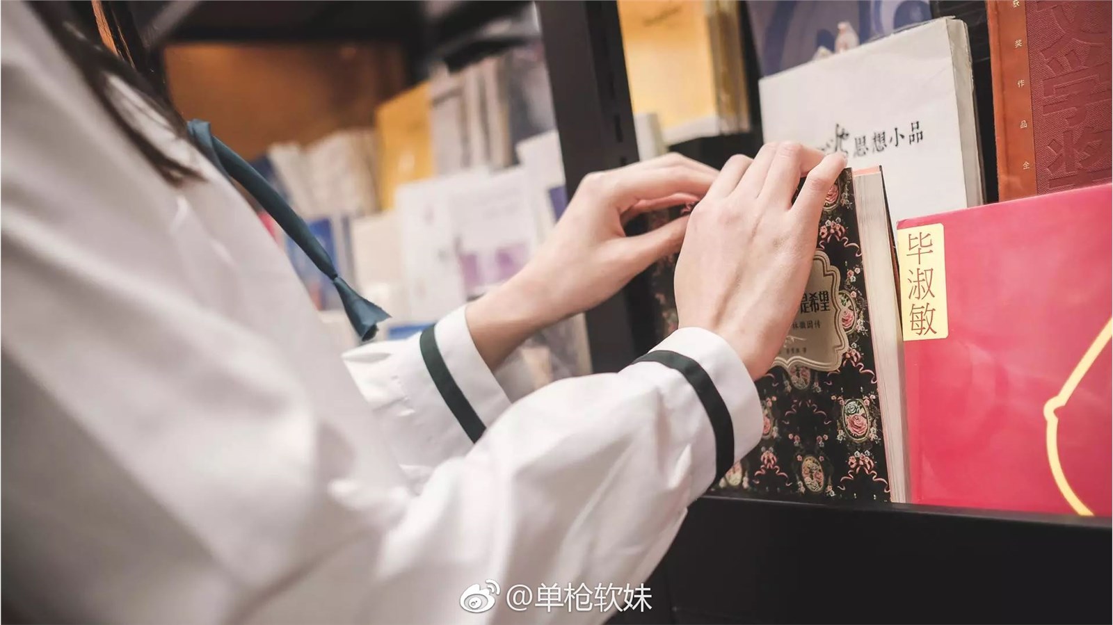 沧霁桔梗微博图 Daily 1 沧霁桔梗微博图 Daily 1